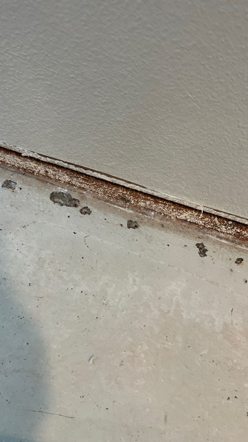 Mold Remediation  by Accountable Home Services