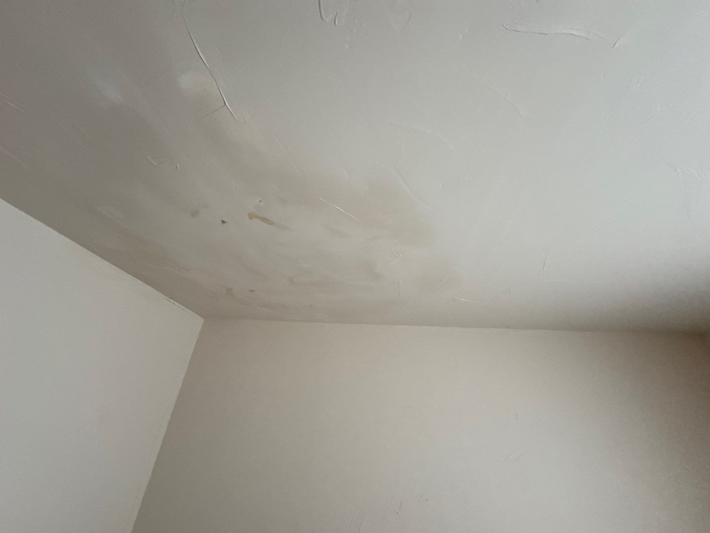 Mold Damage Project in Castle Rock by Accountable Home Services