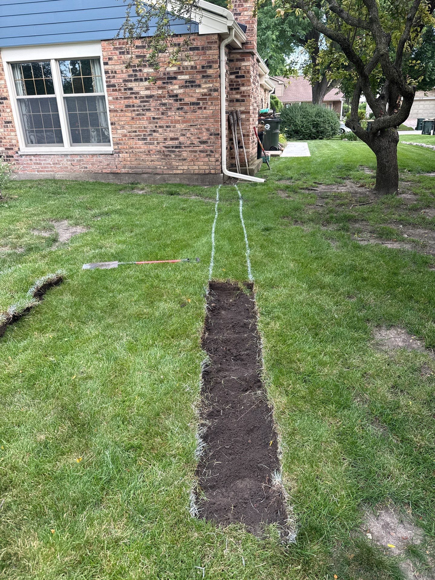 Alicia S. - Arlington Heights, IL by A&N