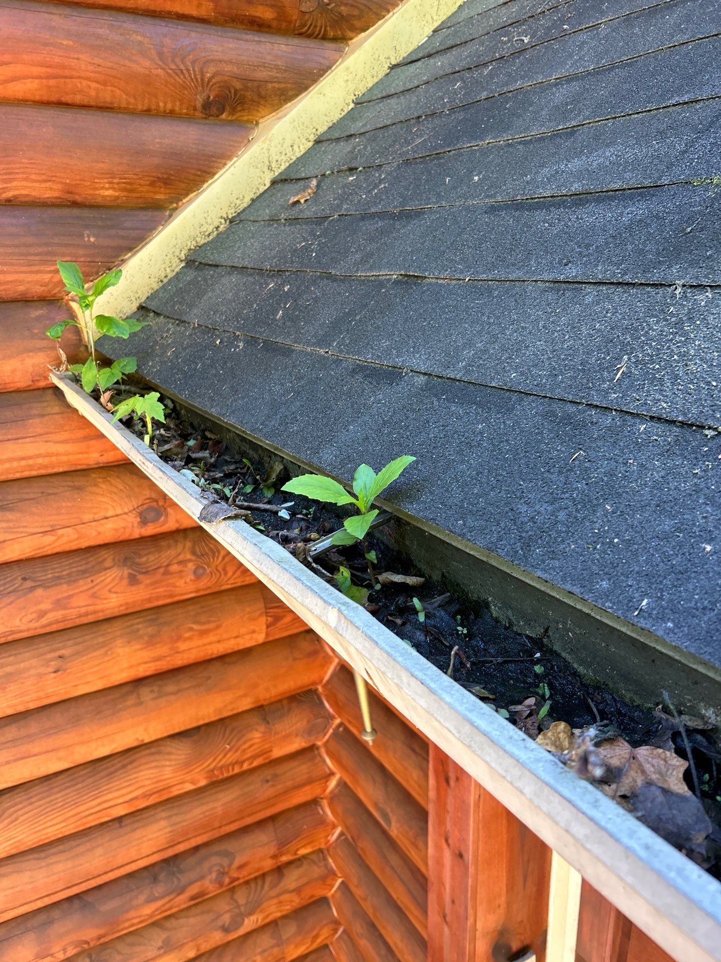 Residential Roofing Installation using Timberline HDZ Shingles - Charcoal by RoofX 