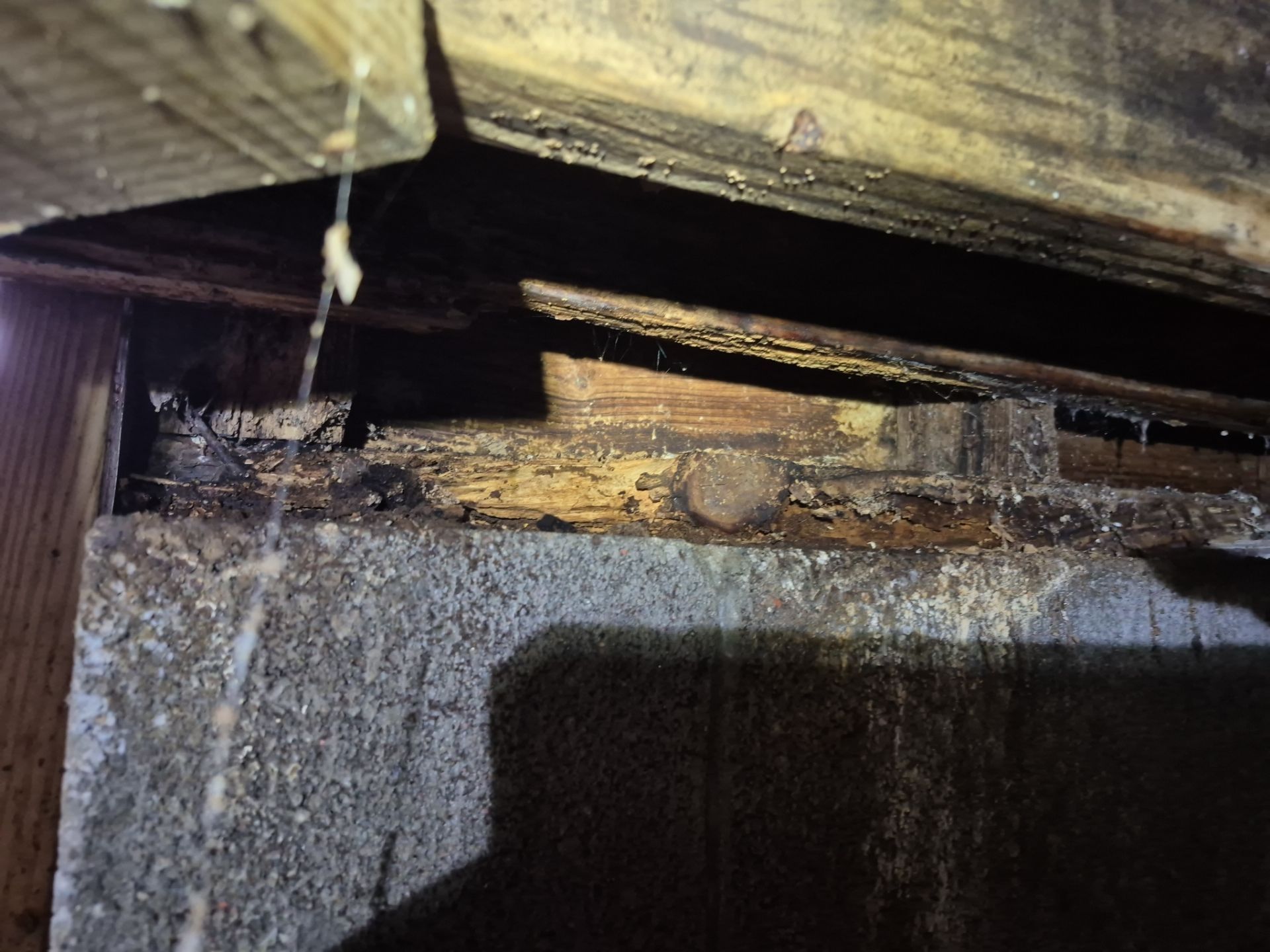 Project in Norfolk by Patriot Crawl Space Repairs