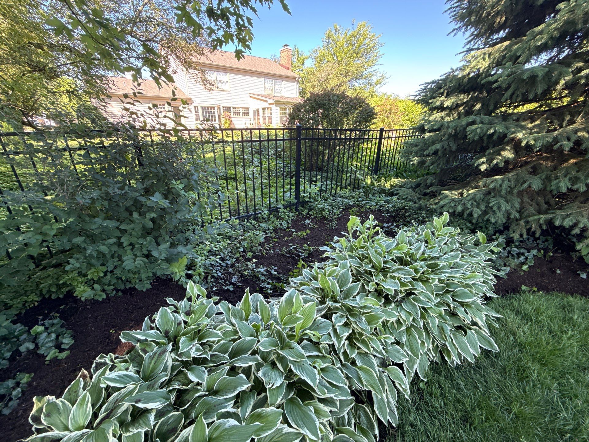 Lesley D. - Arlington Heights, IL by A&N 