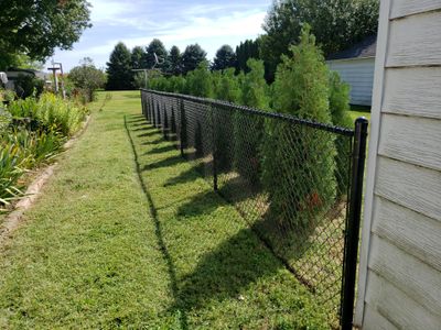Residential Black Chain Link Fencing Project in Wellburg, Iowa