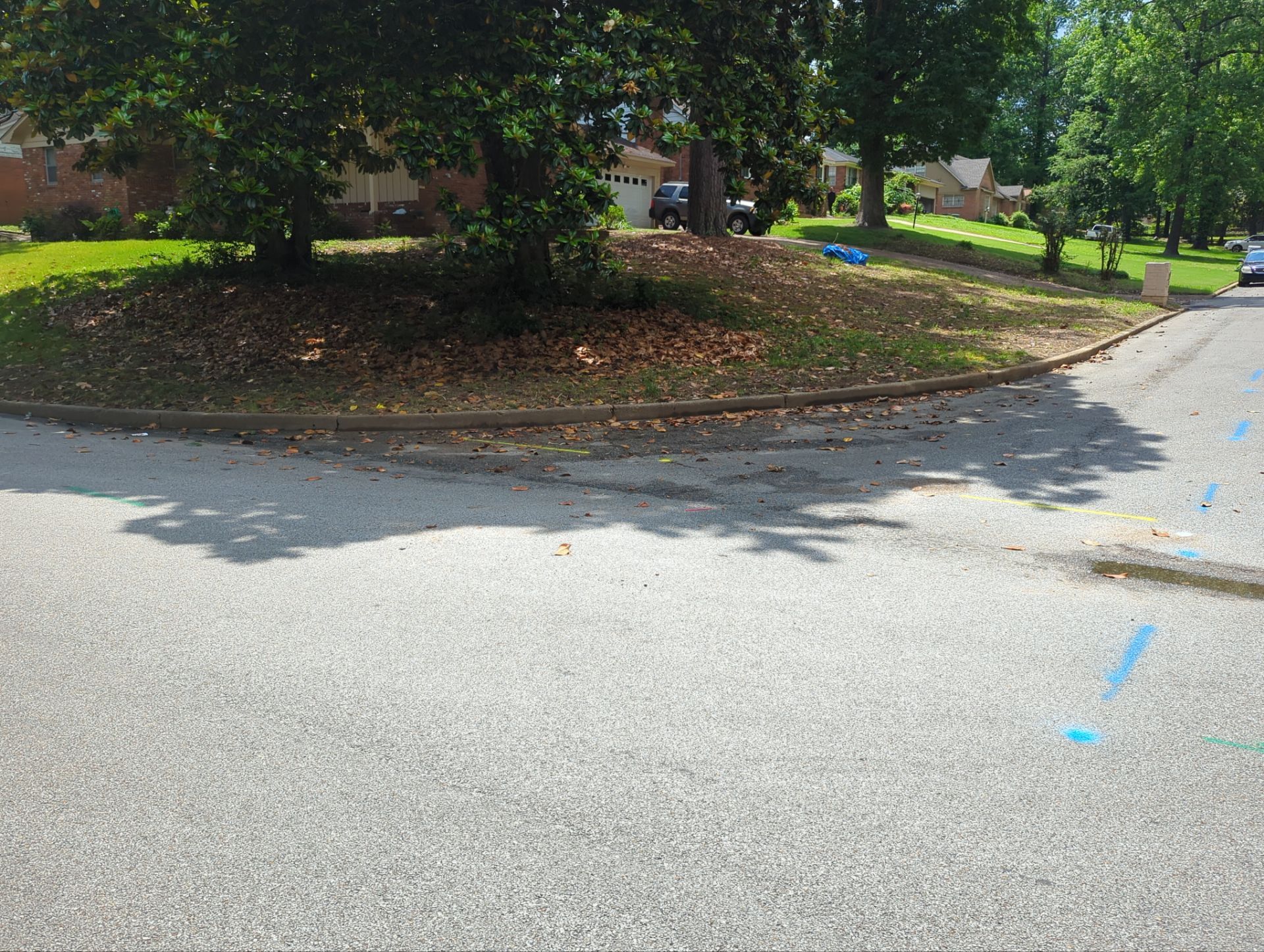 Utility R.O.W Locate for Survey and Design project by Alsip Locating Service, LLC