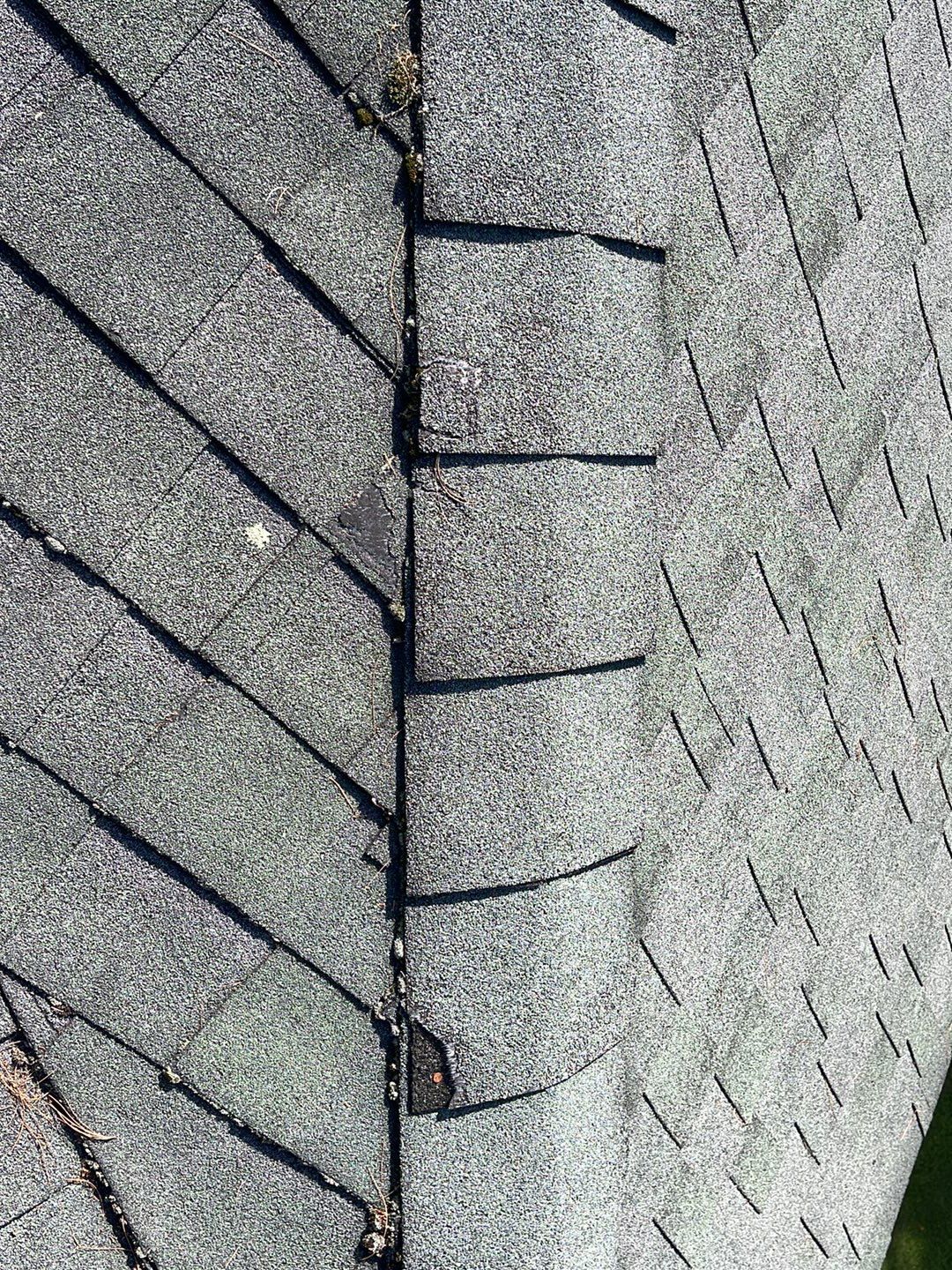  "Leak-Free Living: Expert Shingle Repairs for Lasting Protection!"  by Sensible Home Solutions