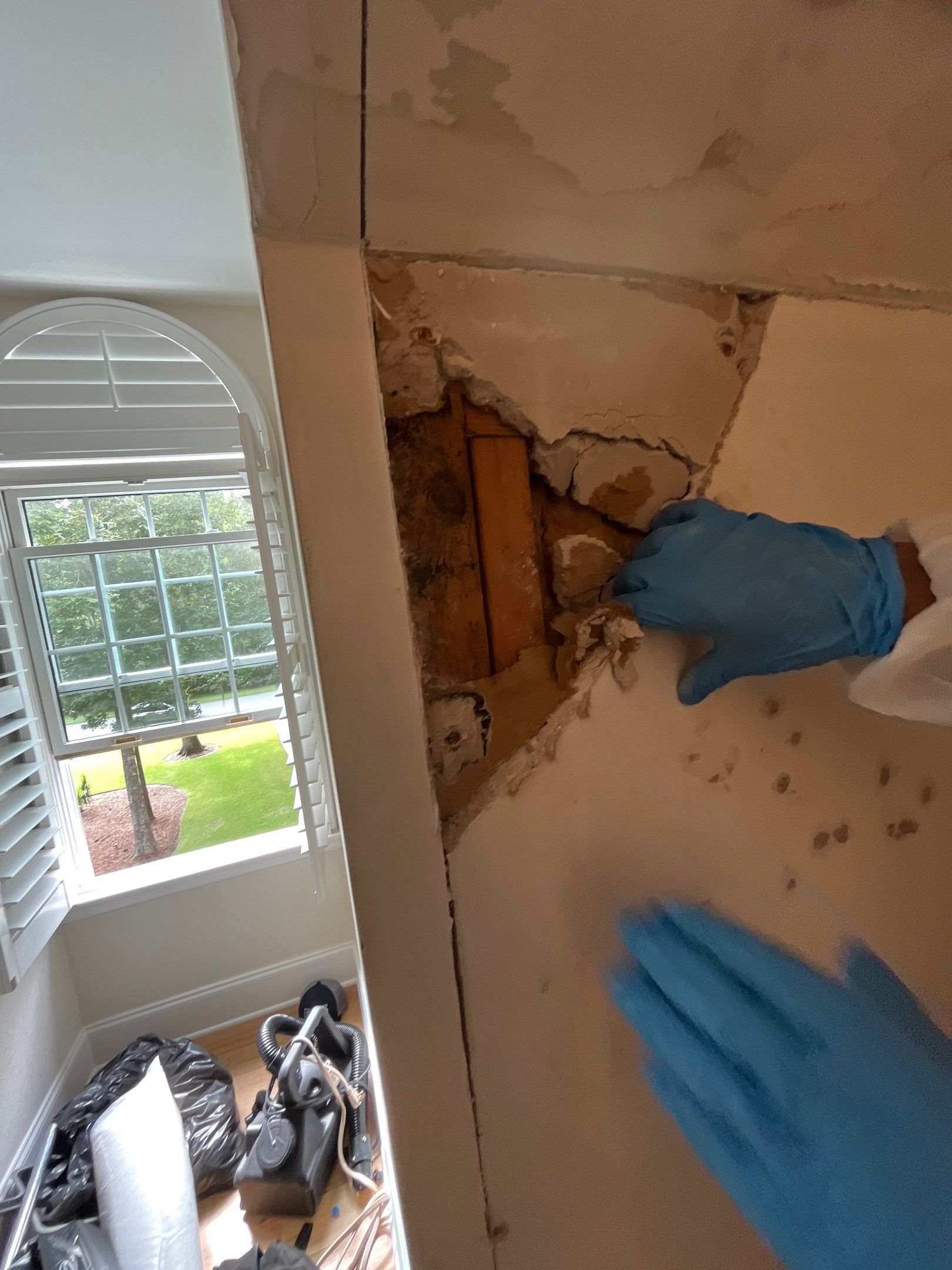 Bedroom Mold Remediation & Interior Restoration by EAS Environmental, LLC.