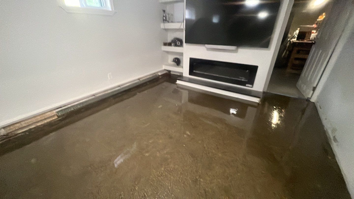 Basement in Wilmington, MA 01887 by Symphony Concrete Coatings