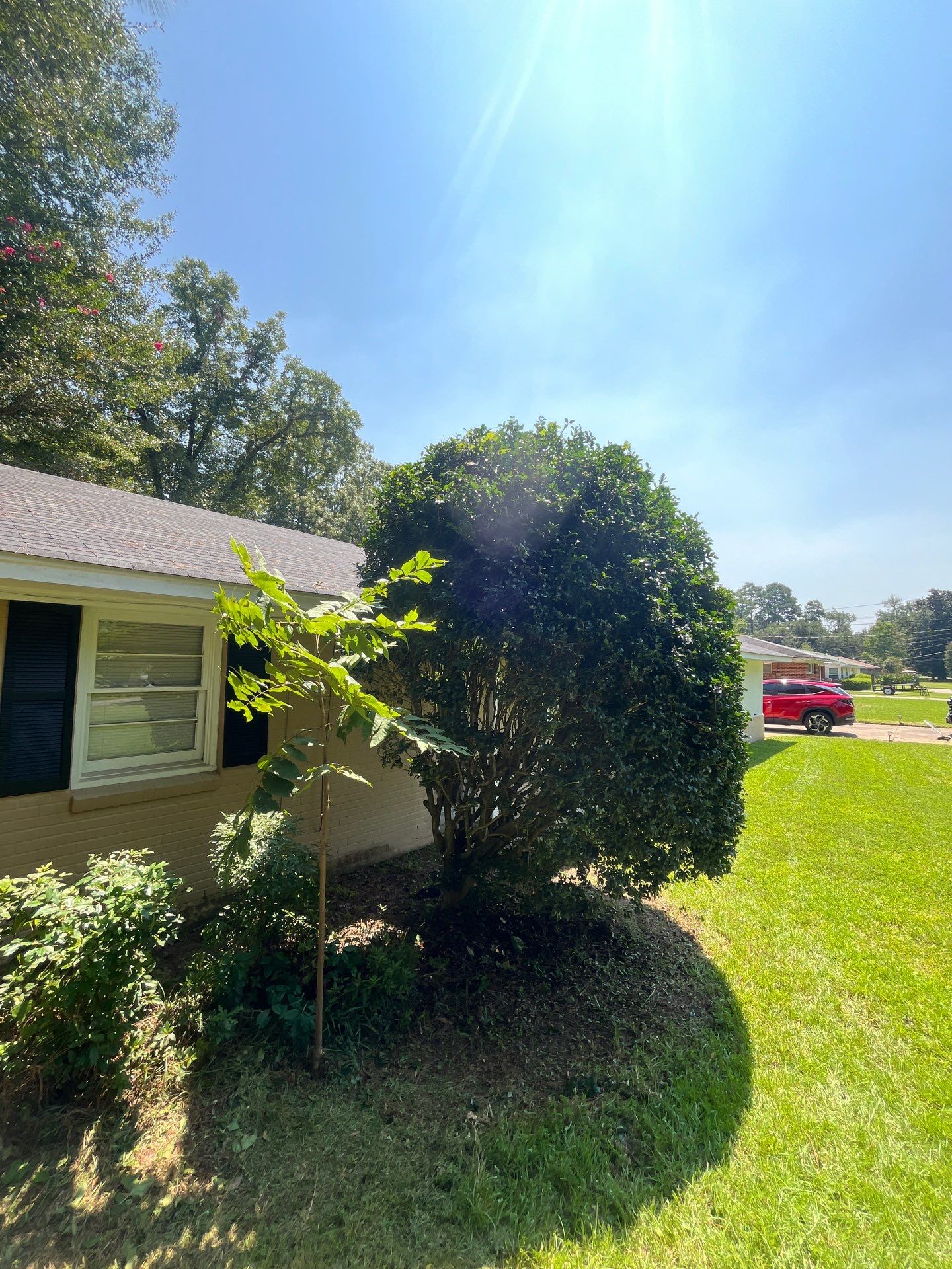 Yard Makeover by College Bros Outdoor services