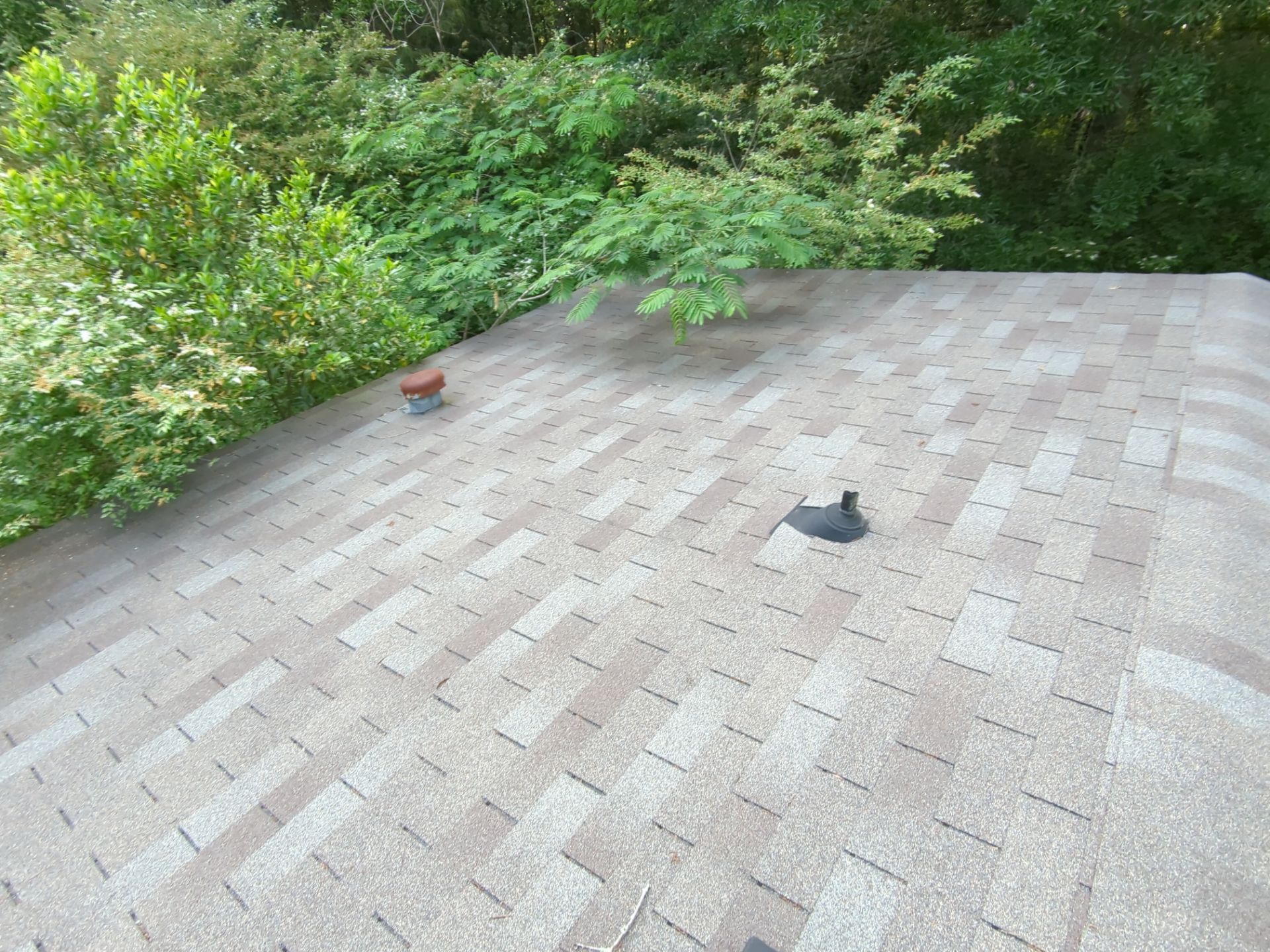 Exterior Clearing - tree trimming - grass cut by Swift Signings and Services LLC