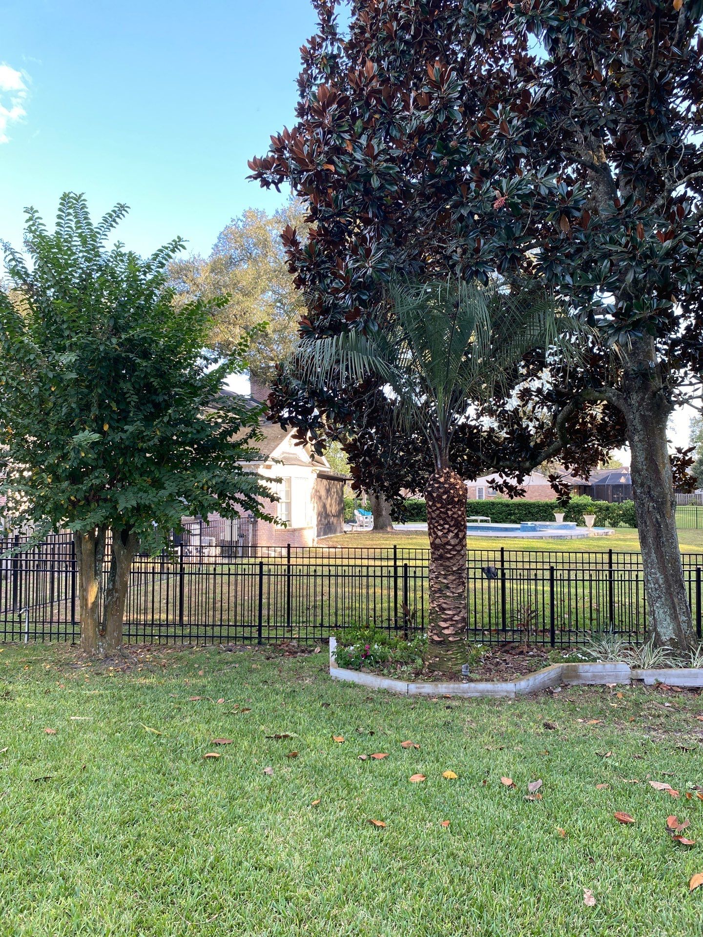 Deerwood Resident | Palm Tree Trimming by ProGreen Services