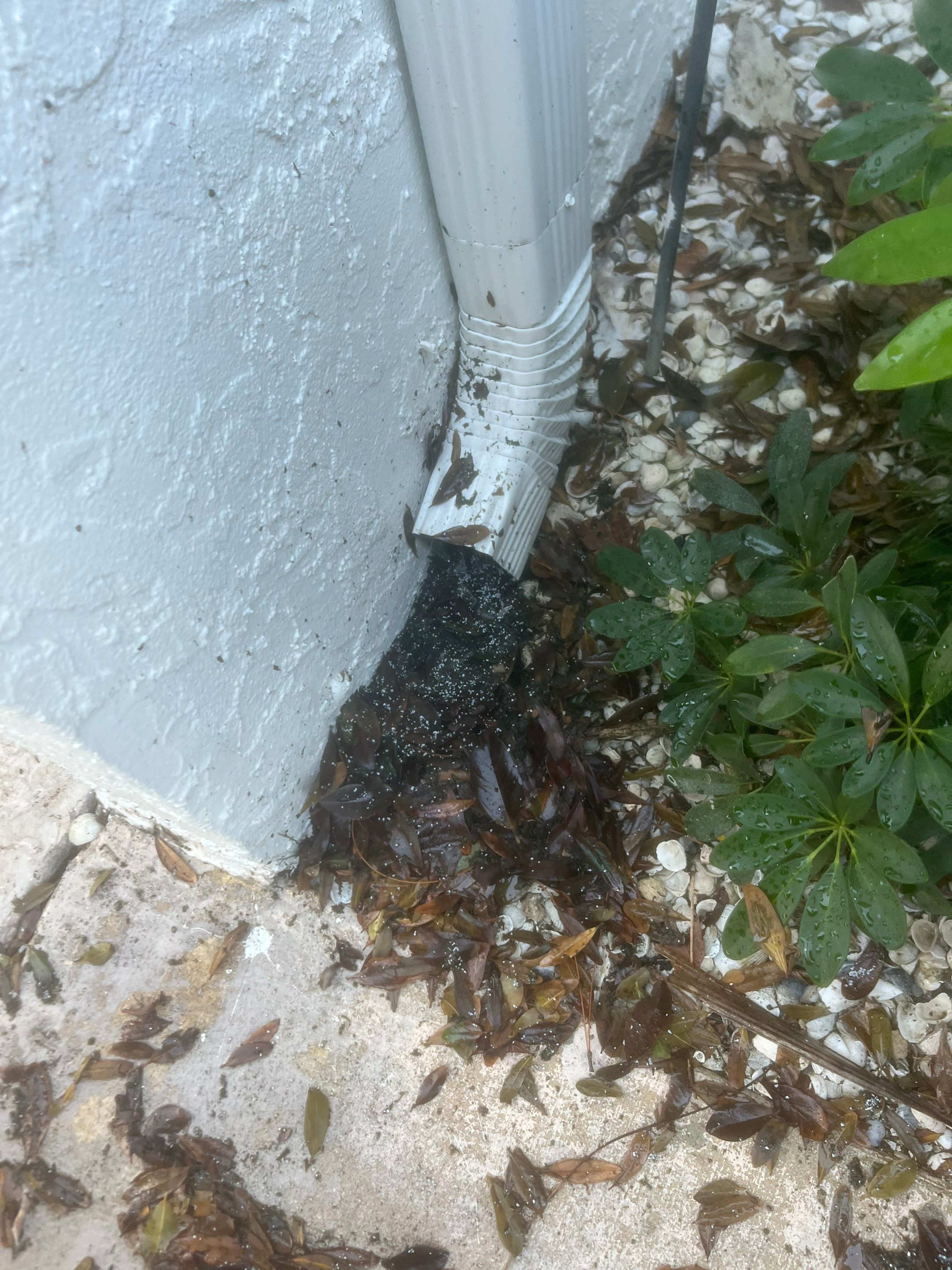 Professional Gutter Cleaning in Fort Myers FL by Gutter Professors