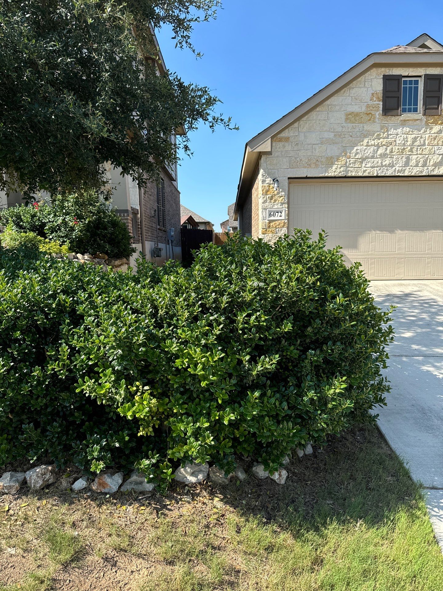 Wortham Oaks - San Antonio, TX by Hole In One Lawns, LLC