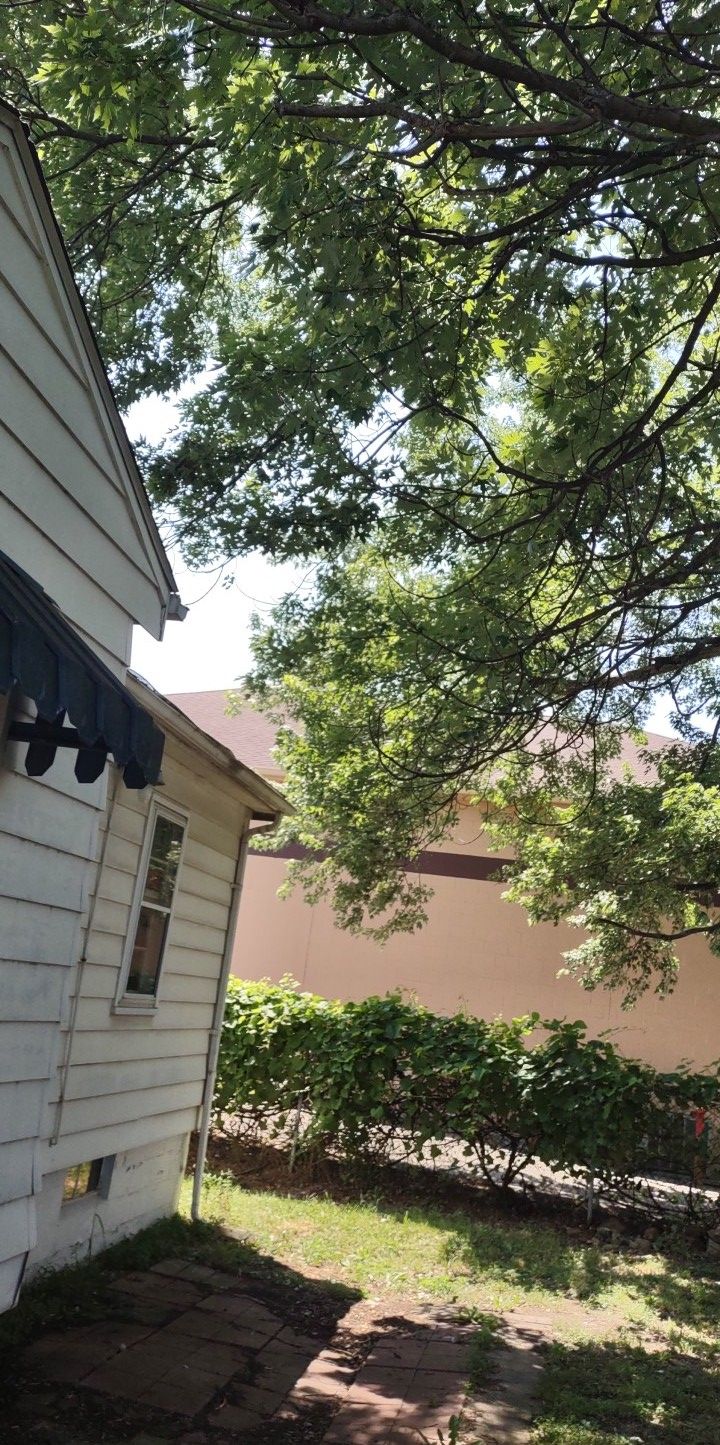 Tree Trimming using Tree Pruing by Mike Jones & Sons Tree Service LLC 