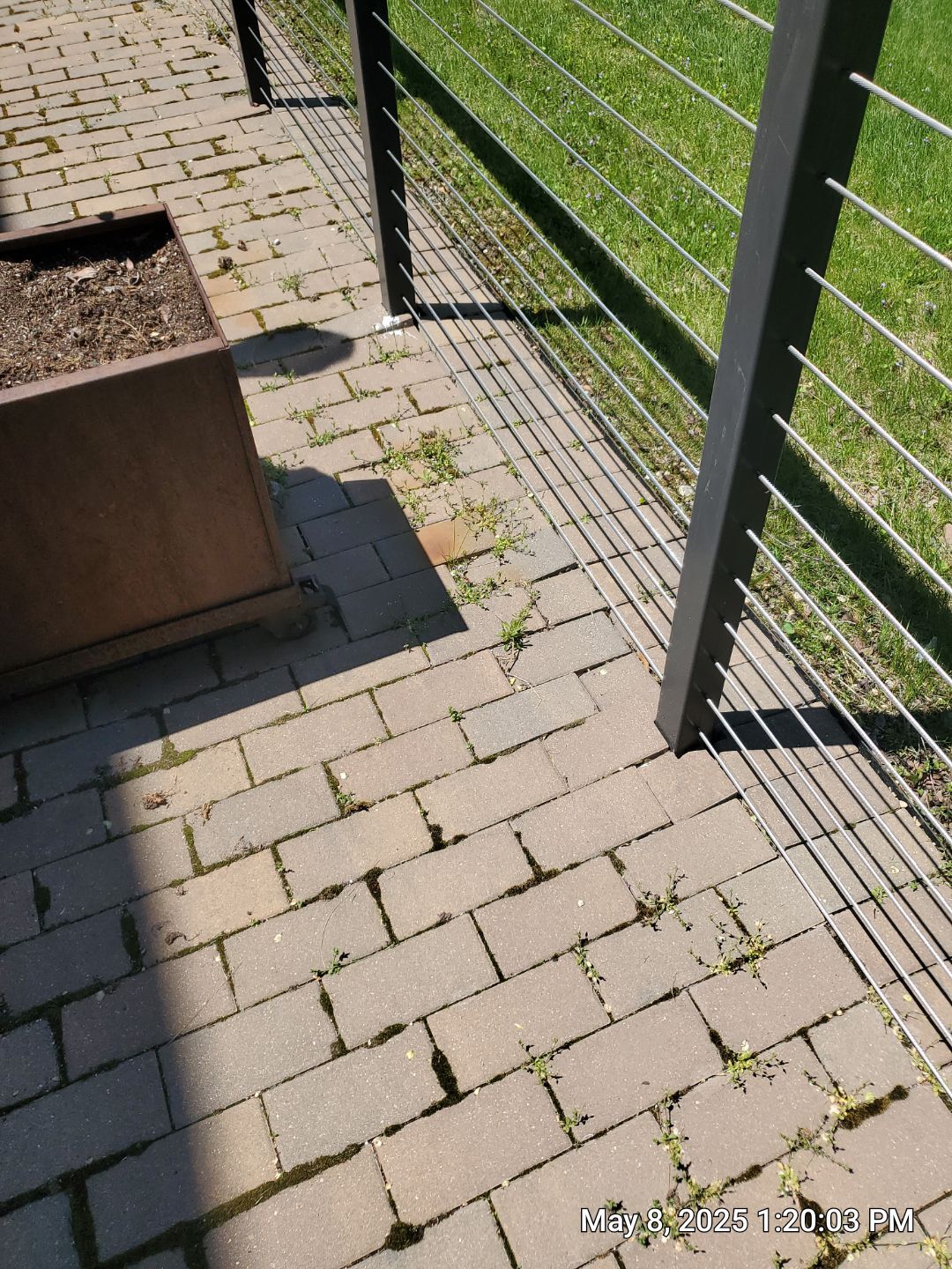 Brick paver repair, cleaning, sealing and poly sanding by Northern Power Washing LLC.