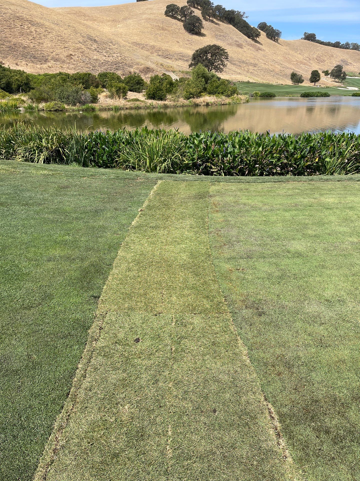 Project in Brooks by A - G Sod Farms