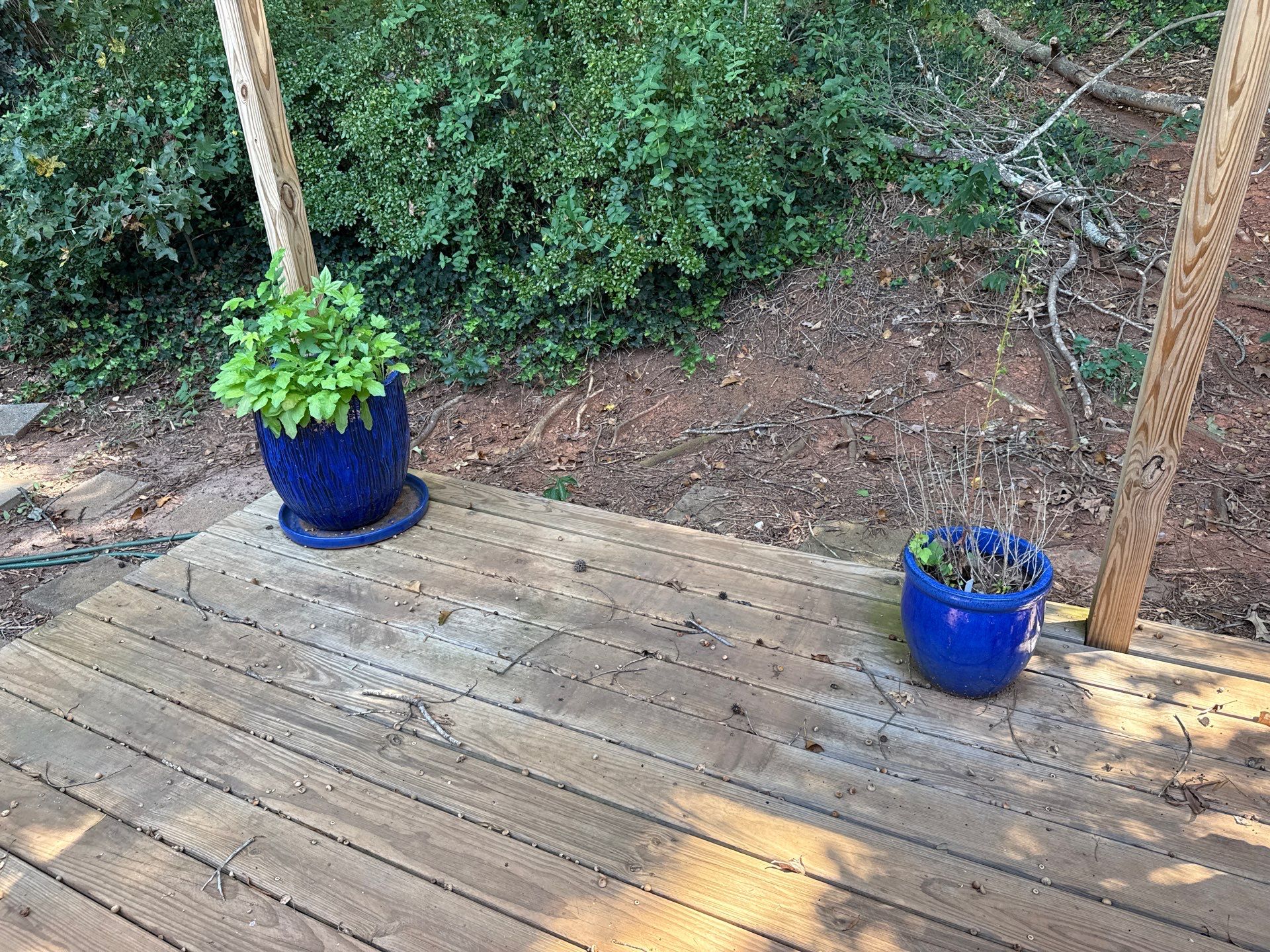 Project in Charlotte by Badger Hauling