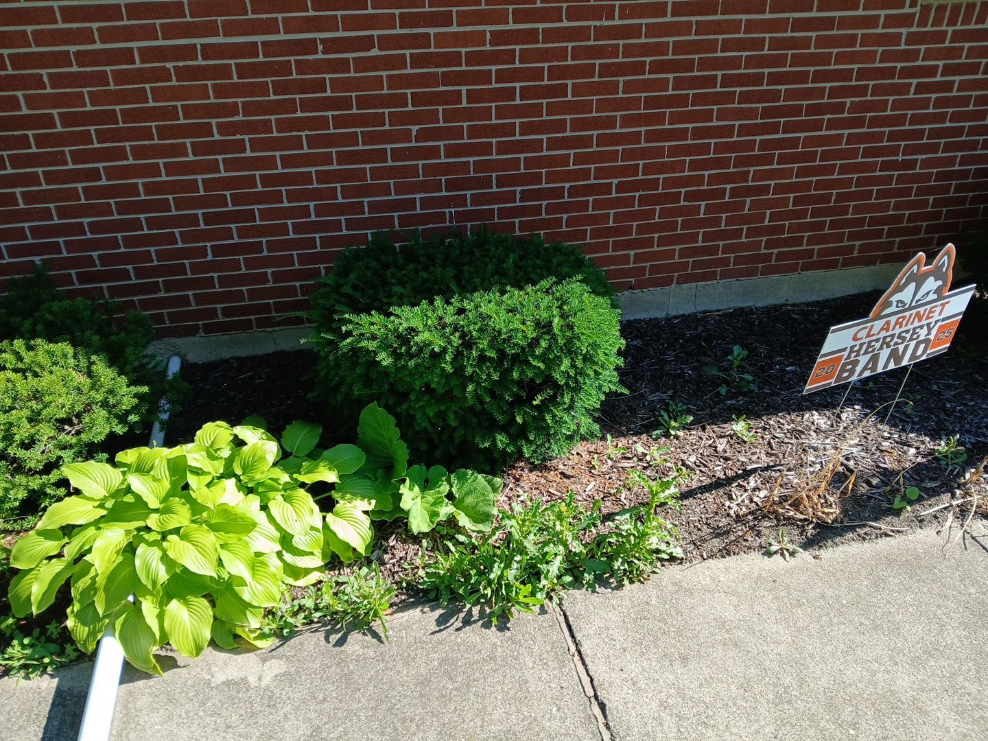 Martha C. - Mount Prospect, IL by A&N 