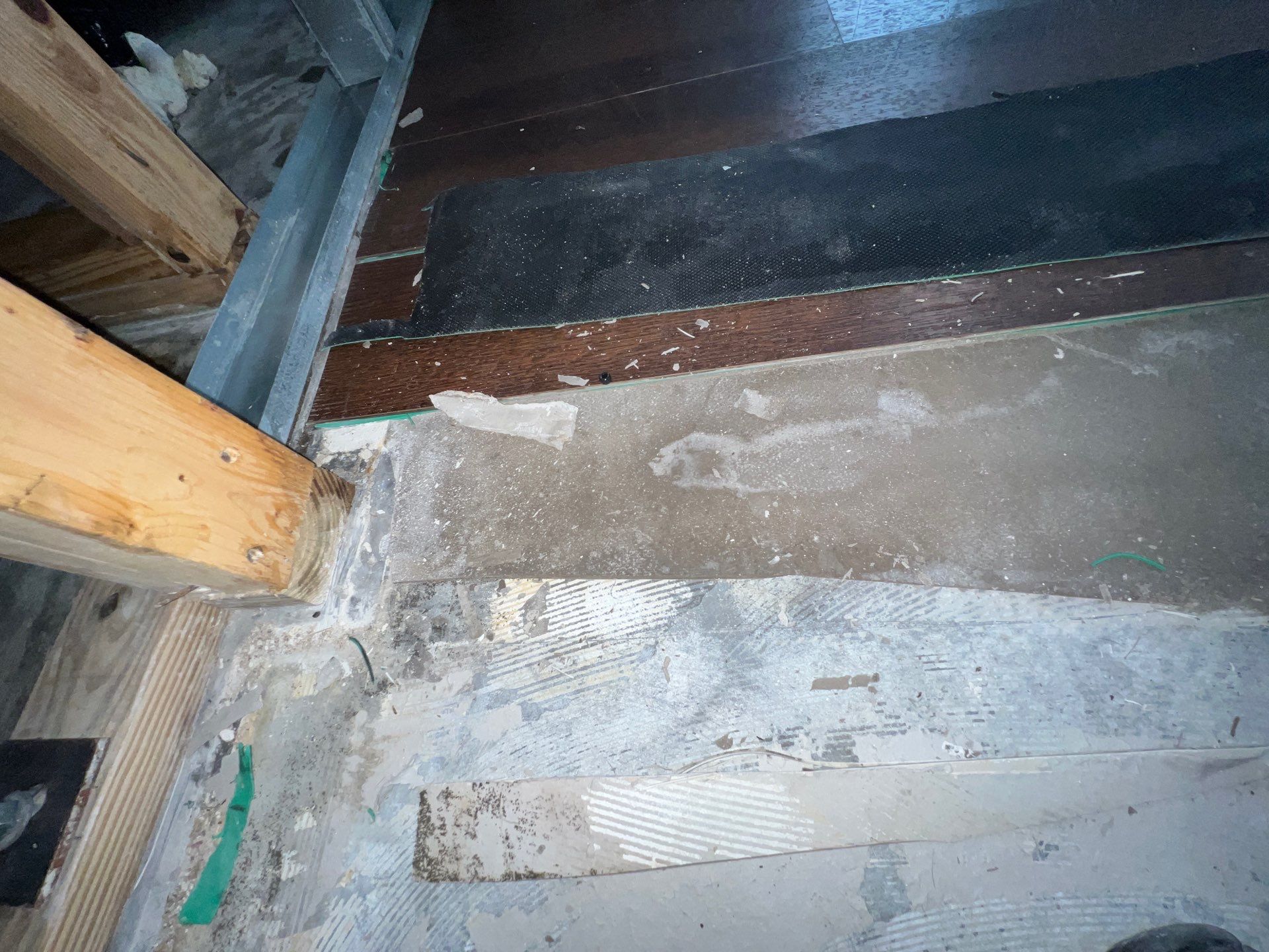 Stansell - water and mold photos  by THE RAPID TEAM