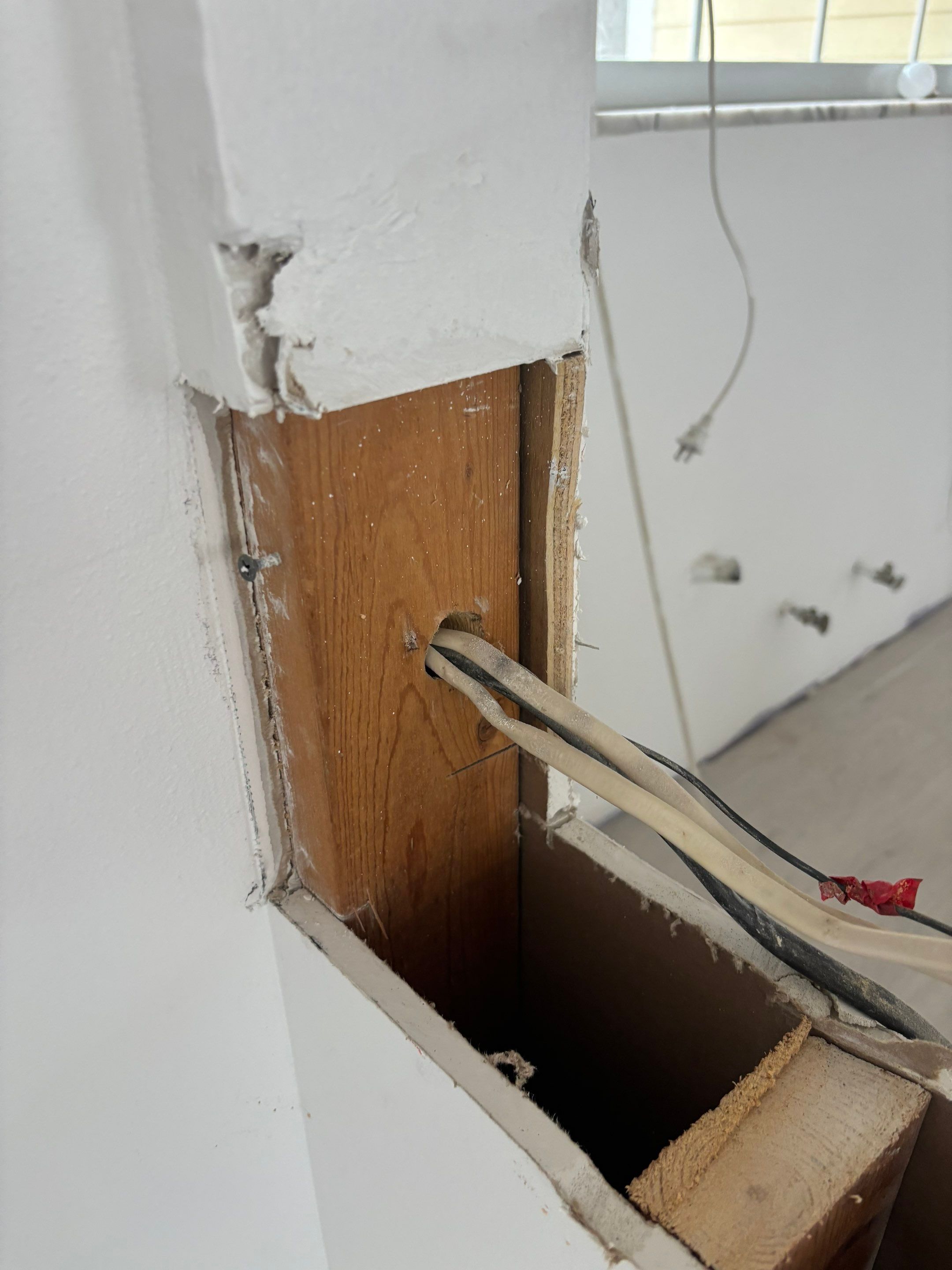 Mold Remediation + Reconstruction Bradenton by Ampm Restoration Services 