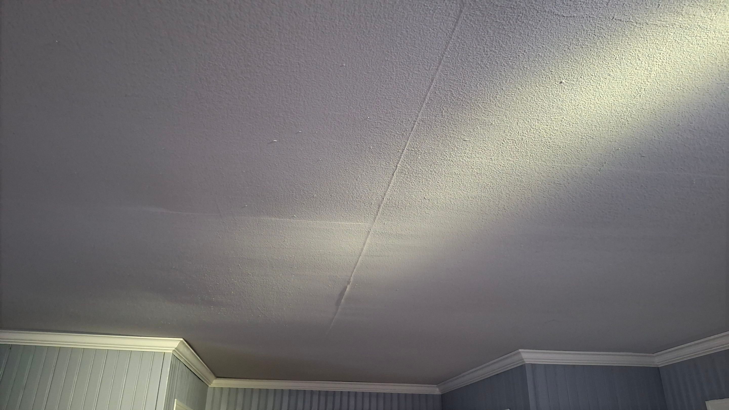 Ceiling repair  by Big Pine Panting Inc