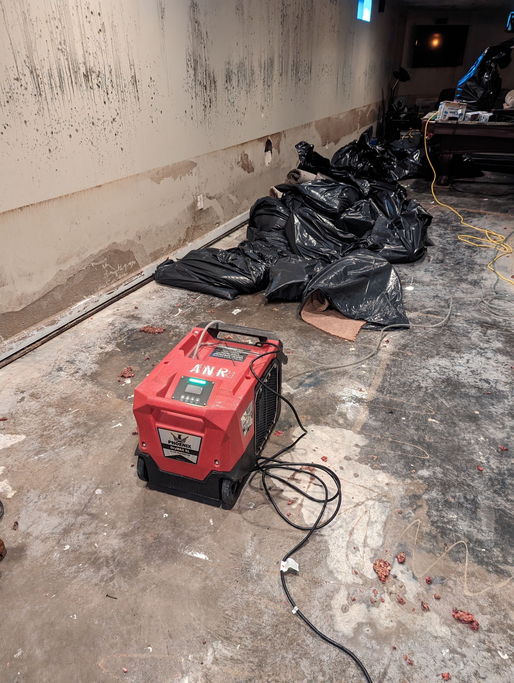 EMS Water Damage and Mold Remediation in Louisville, KY by ANR Restoration