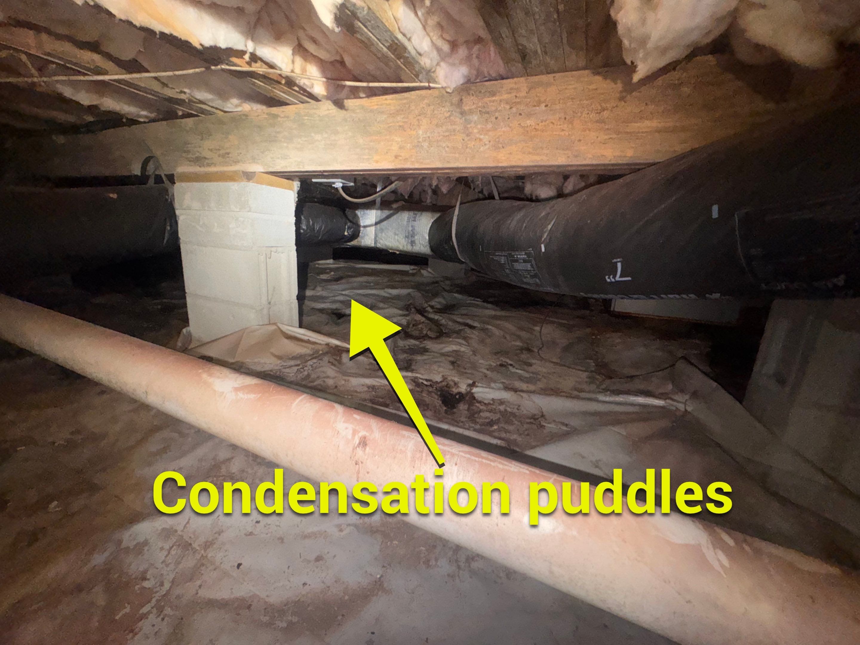 Moisture Barrier, Mold Clean, Structural Repair, Dehumidifier, R19 Insulation. by Impact Crawlspace