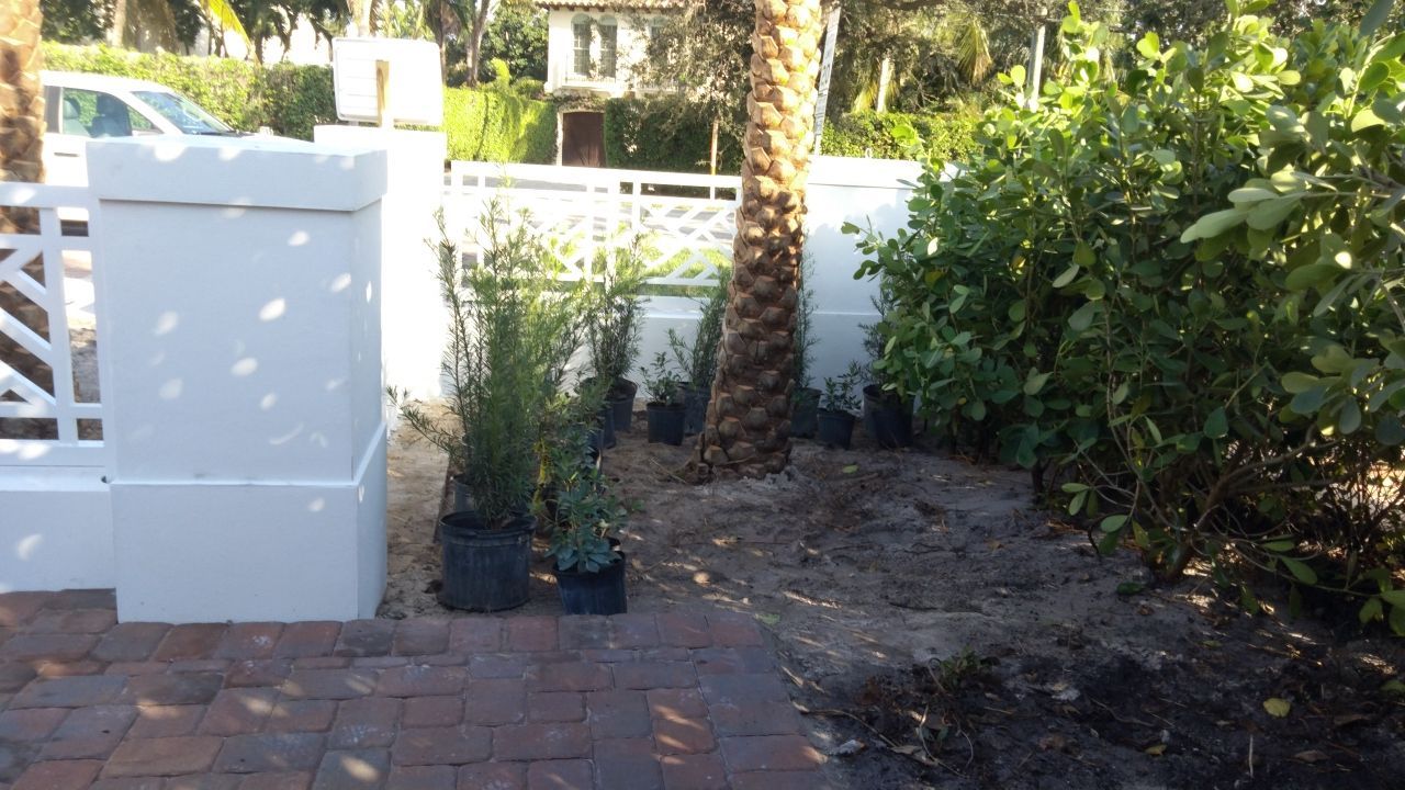 Hazard  by The Landscaping People