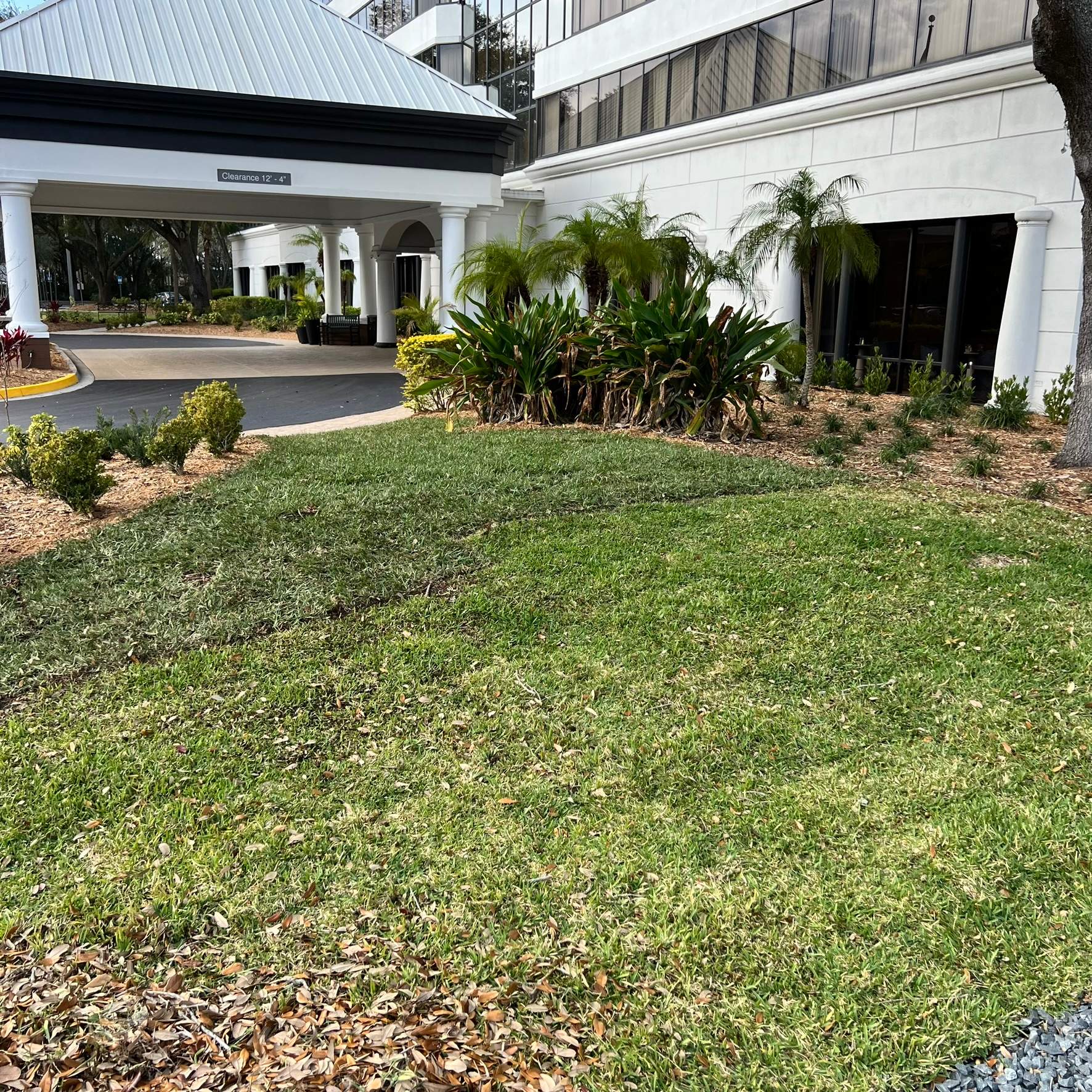 Landscape Install | Marriott Hotel by ProGreen Services