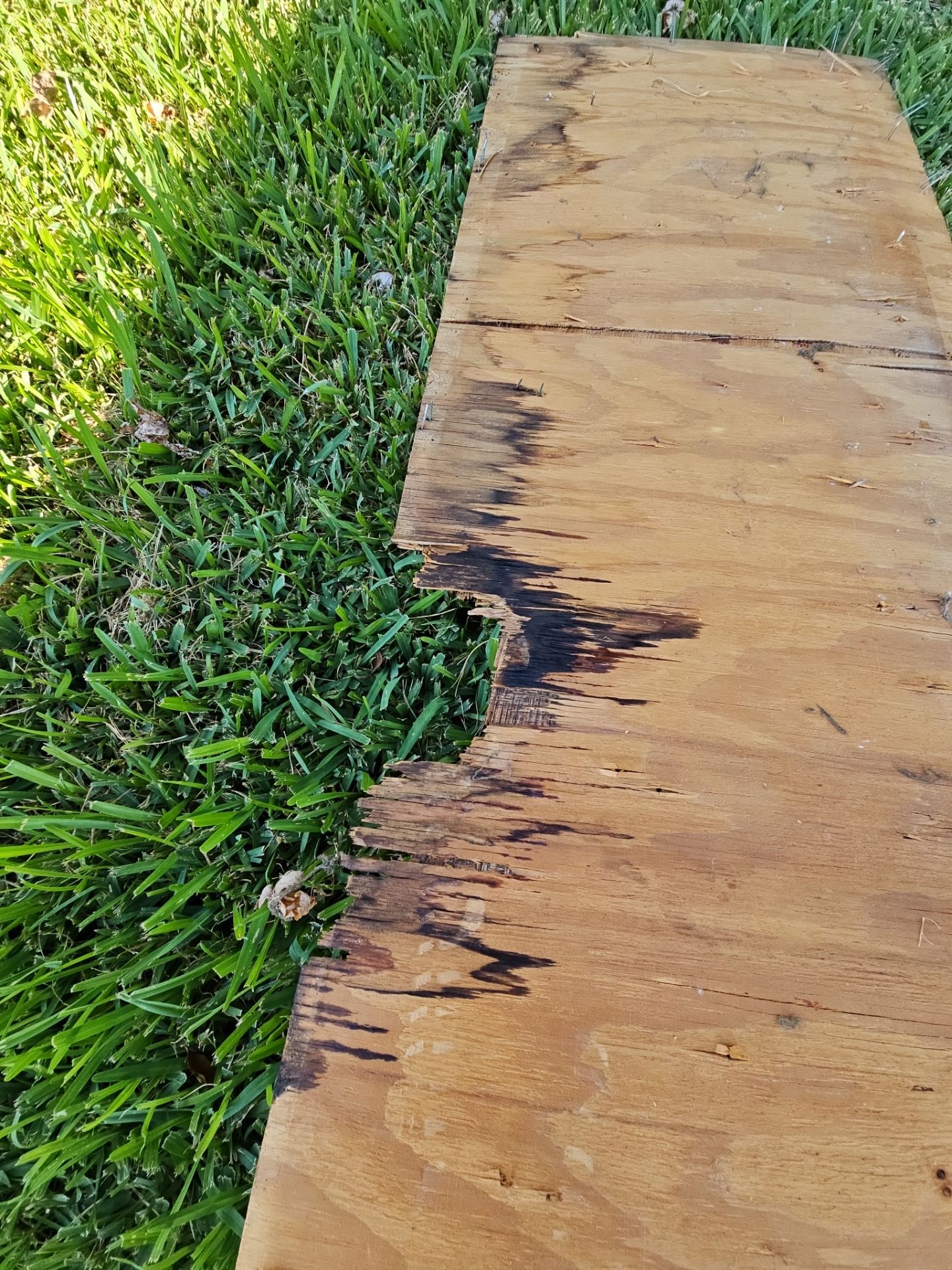 Complete Roof Replacement & Interior Ceiling Restoration in Garland, TX by road roofing llc