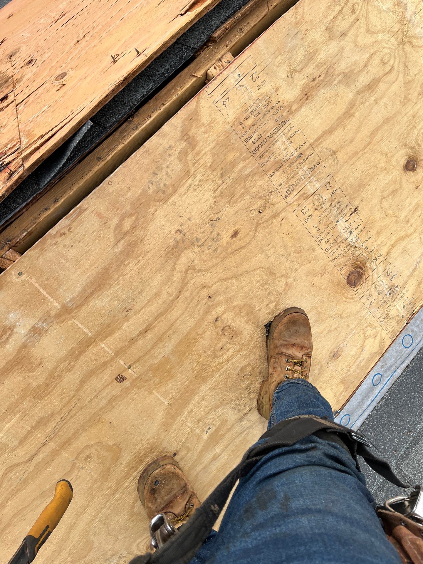 Alexandria: CertainTeed Landmark Pro Designer Shingles in Max Def Georgetown Gray by RM Banning, Inc.