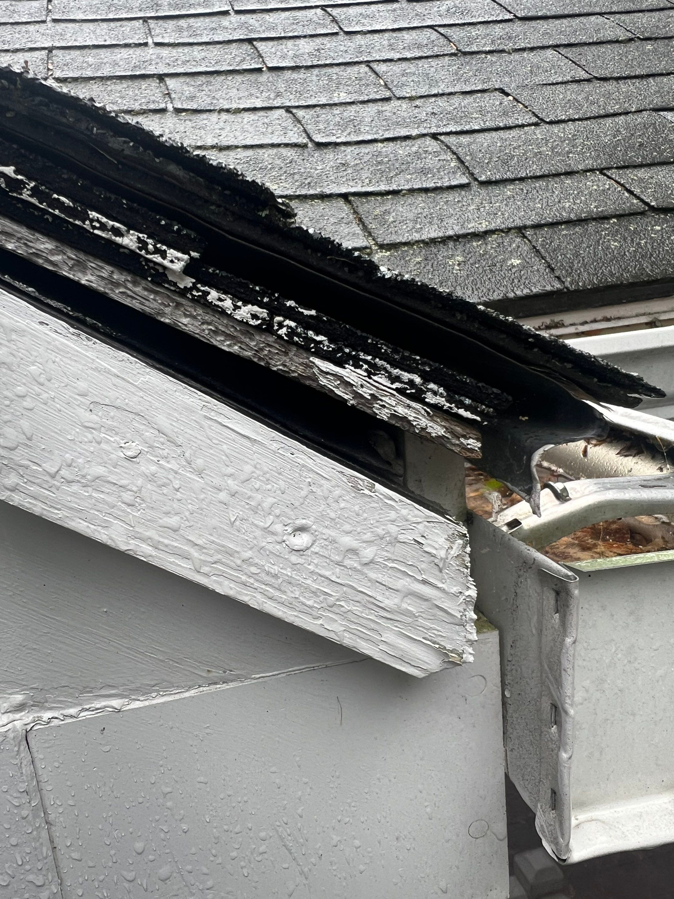 Complete Roof Replacement with Ventilation Upgrade by Mighty Dog Roofing of Greater Middlesex County