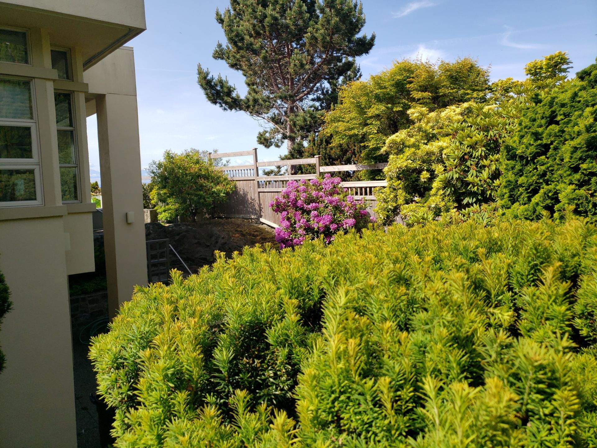 Oak Bay Residence by Habanero Garden and Exterior Care