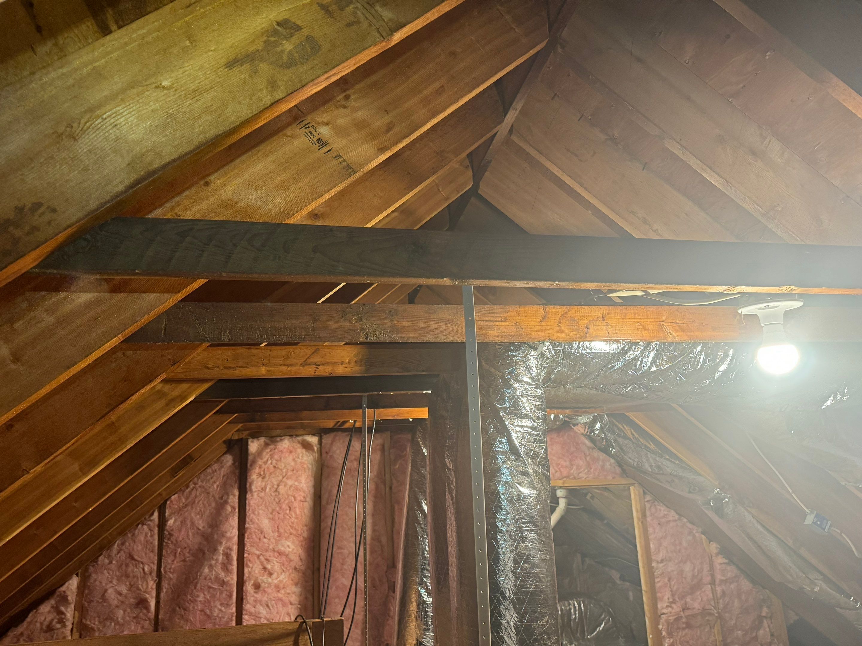 Bathroom Mold Remediation by Home Guarantee, LLC
