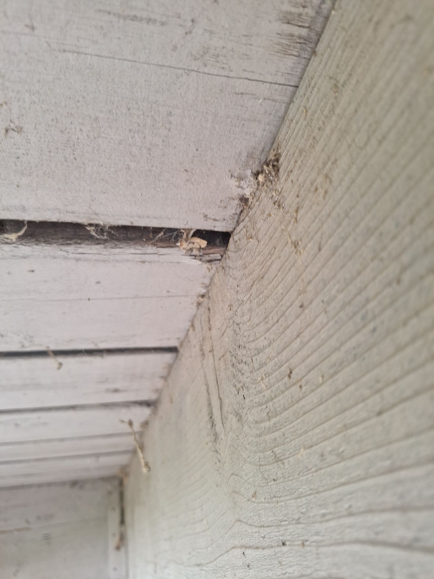Twin Lake Residential Power Washing and Exterior Surface Cleaning by Gordon Painting