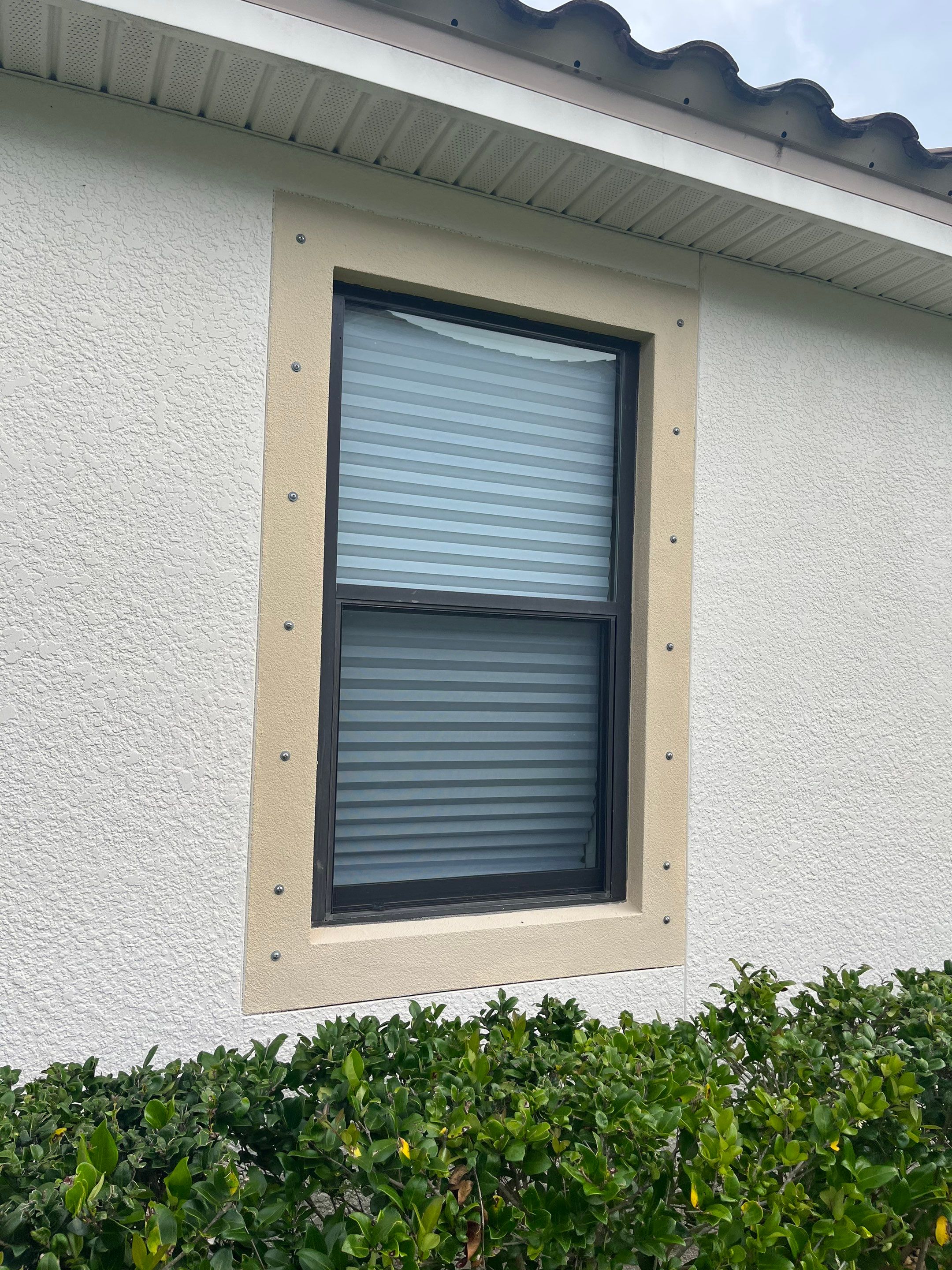 Bronze Single Hungs & PW's by NewSouth Window Jacksonville