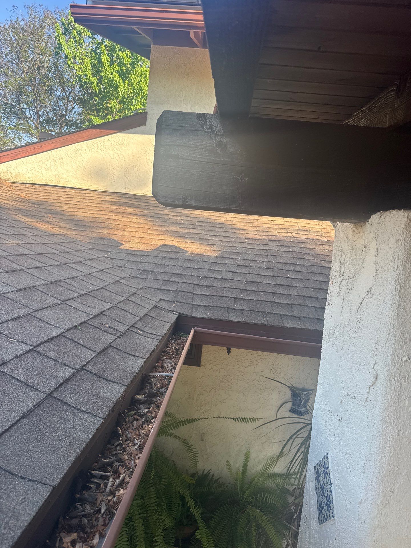 Roof Rejuvenation using Roof Maxx Treatment by Roof Maxx of Folsom
