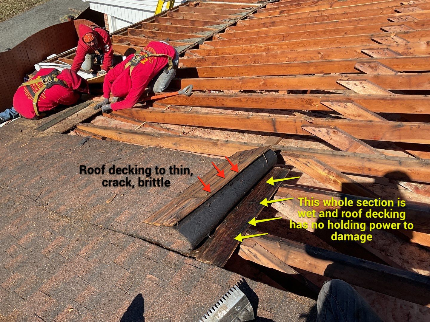 Residential Roofing Installation using CertainTeed Shingles by Alpha Design Services