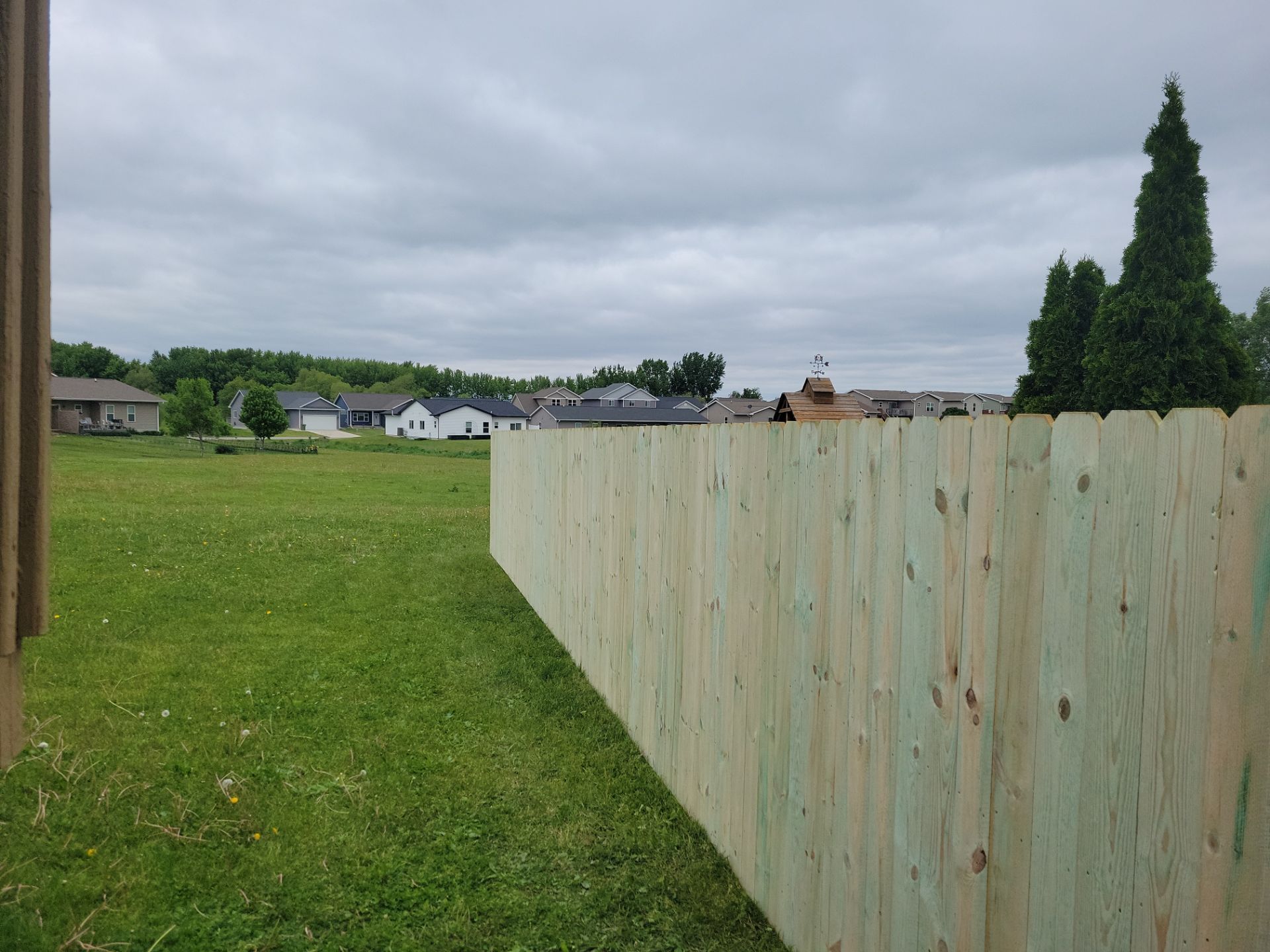 Pressure-Treated Wood Privacy Fence Installation in Waterloo by Perfect Picket Fence and Stain