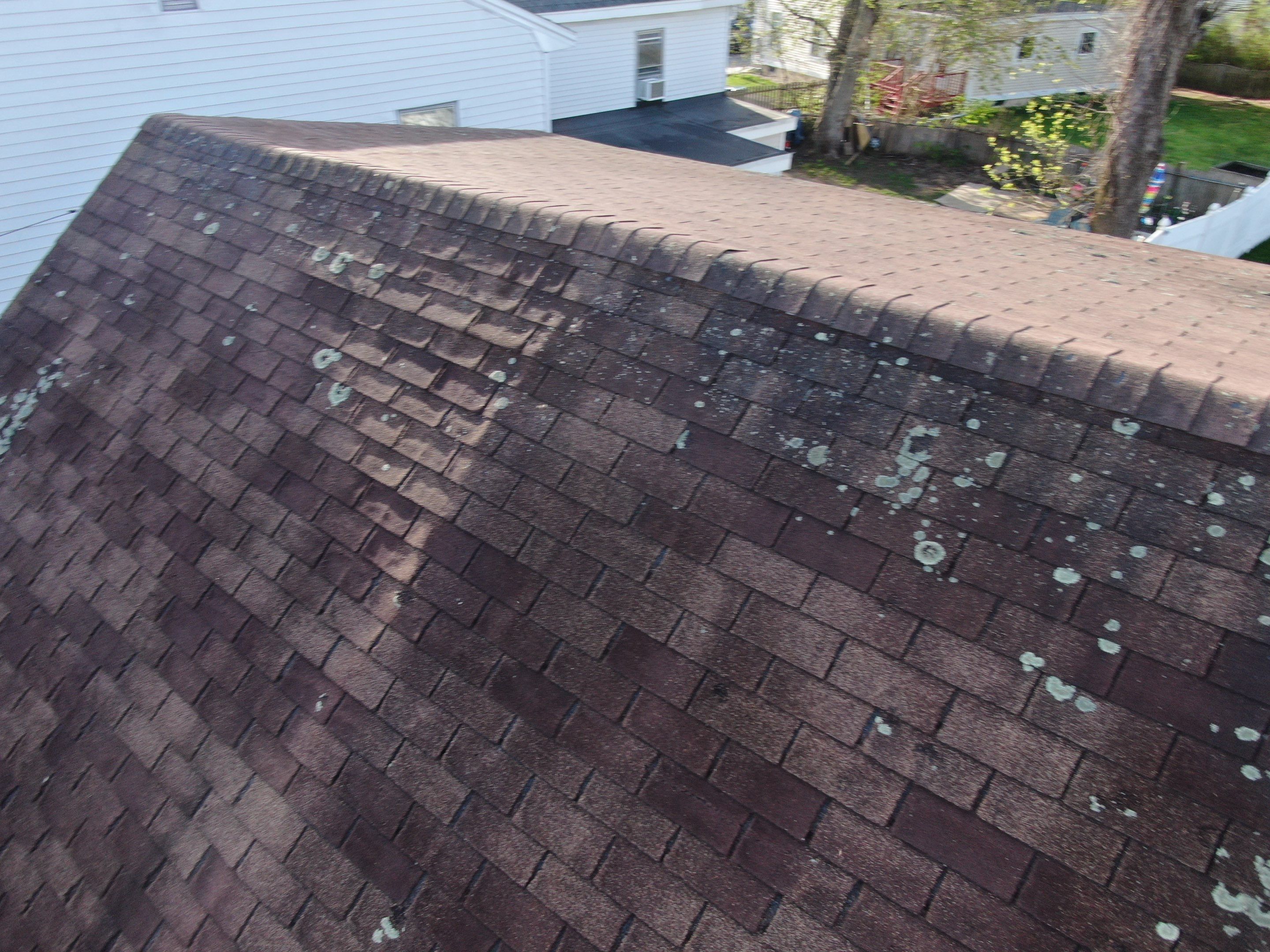 Roof Replacement with Owens Corning TruDefinition Shingles in Midnight Plum by Mighty Dog Roofing of Greater Middlesex County
