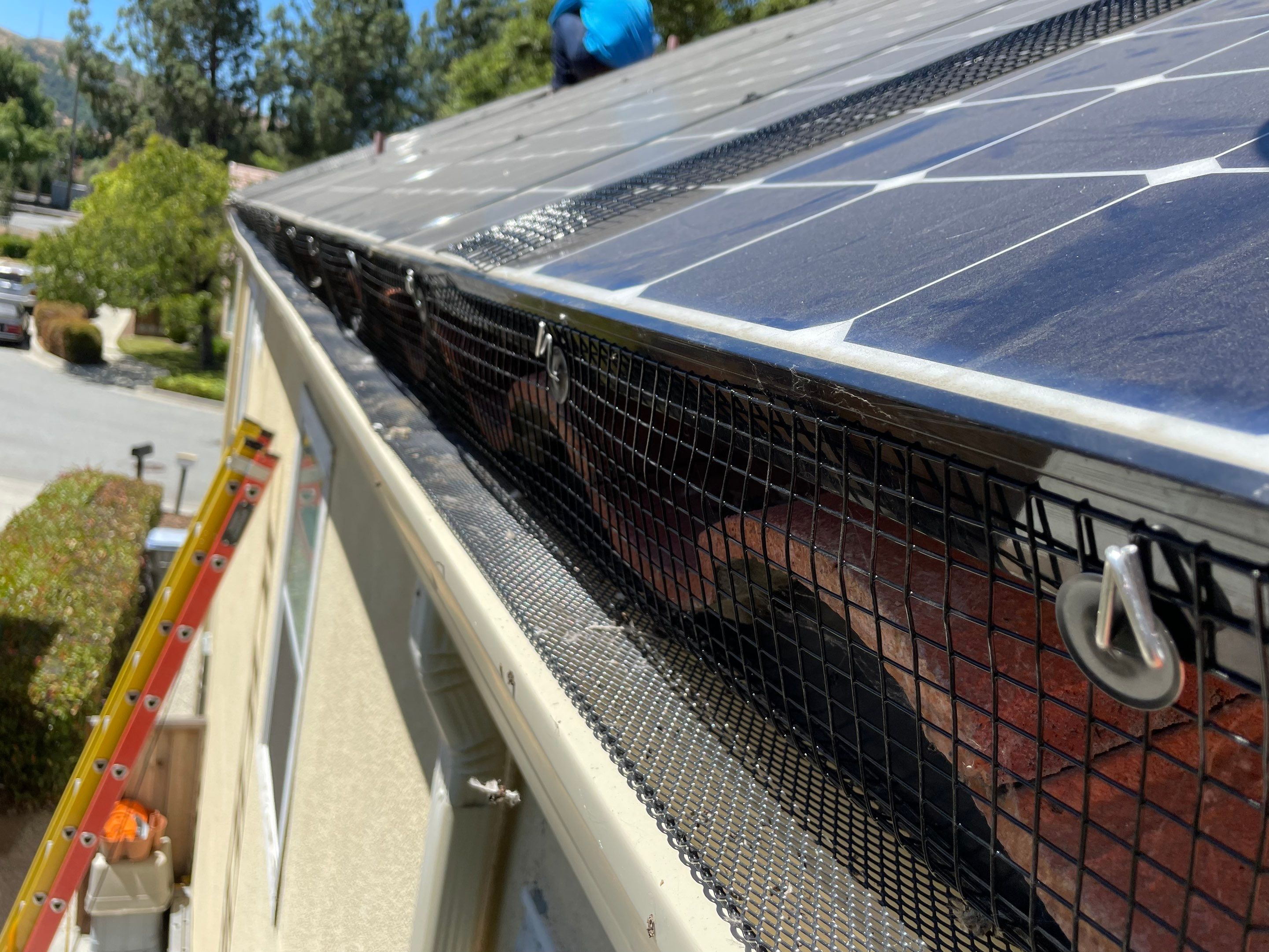 Solar Panel Bird Proofing using Critter Guard Mesh by All One Solar Shine
