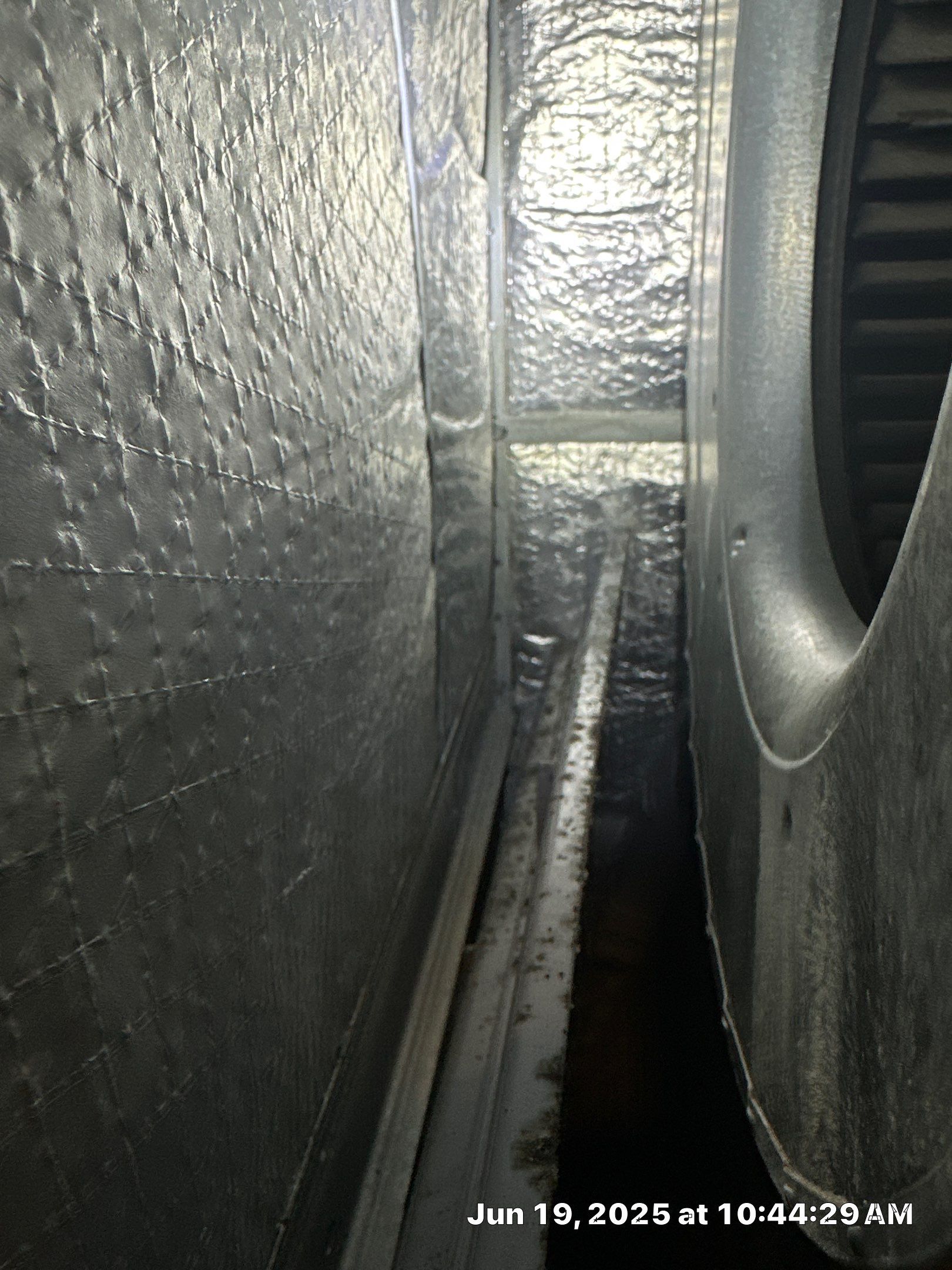 Mold Assessment in Sarasota on a rental home by Building performance Solutions LLC