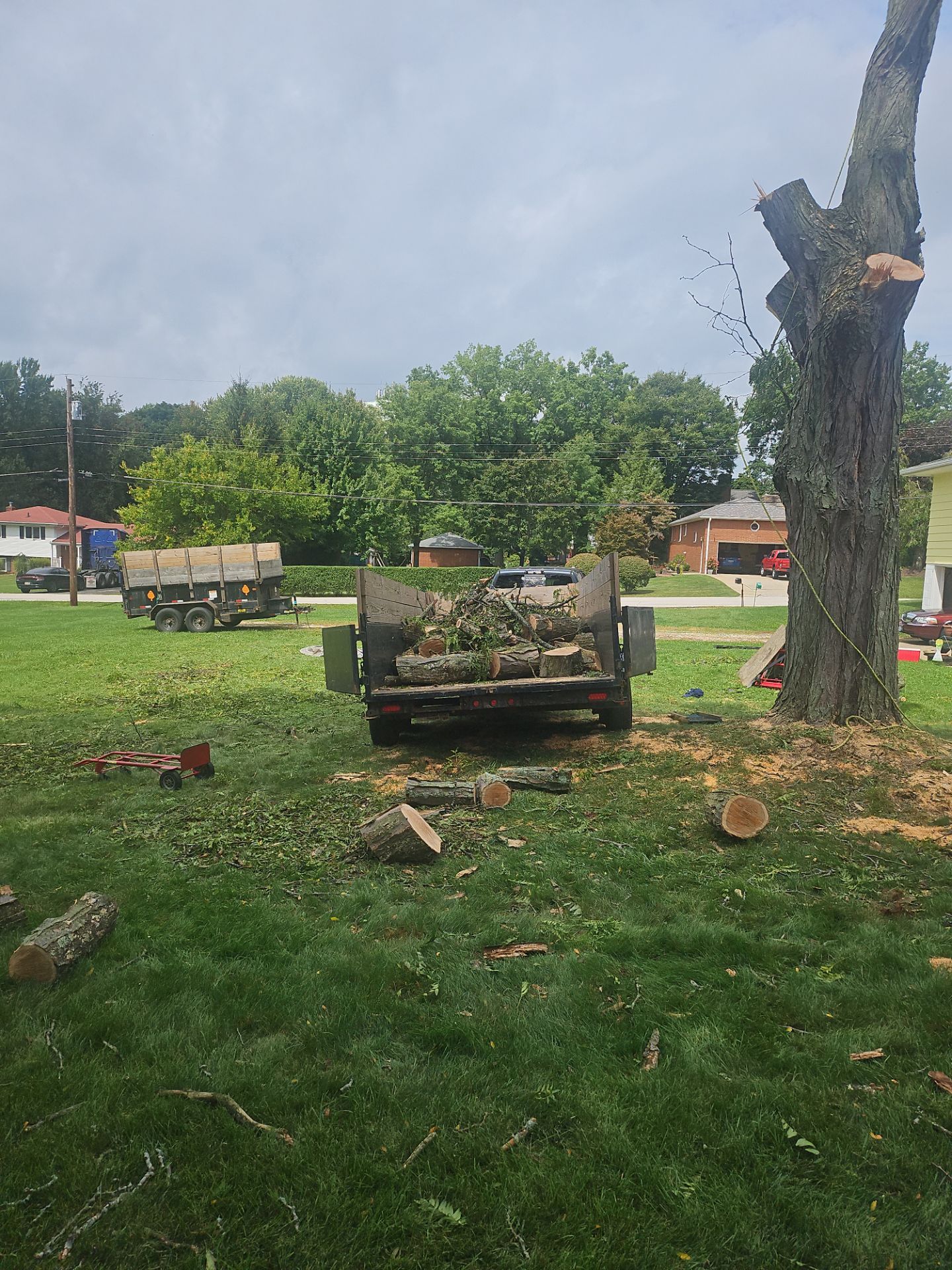 Tree Removal using Tree Removal by Mike Jones & Sons Tree Service LLC 