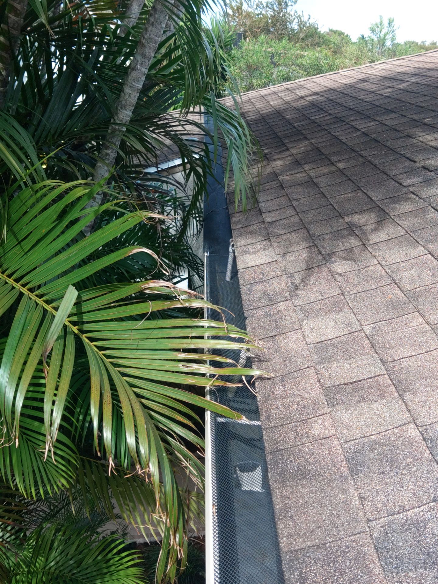 Seamless Gutter Cleaning Before the Rainy Season in Lehigh Acres, FL by Gutter Professors