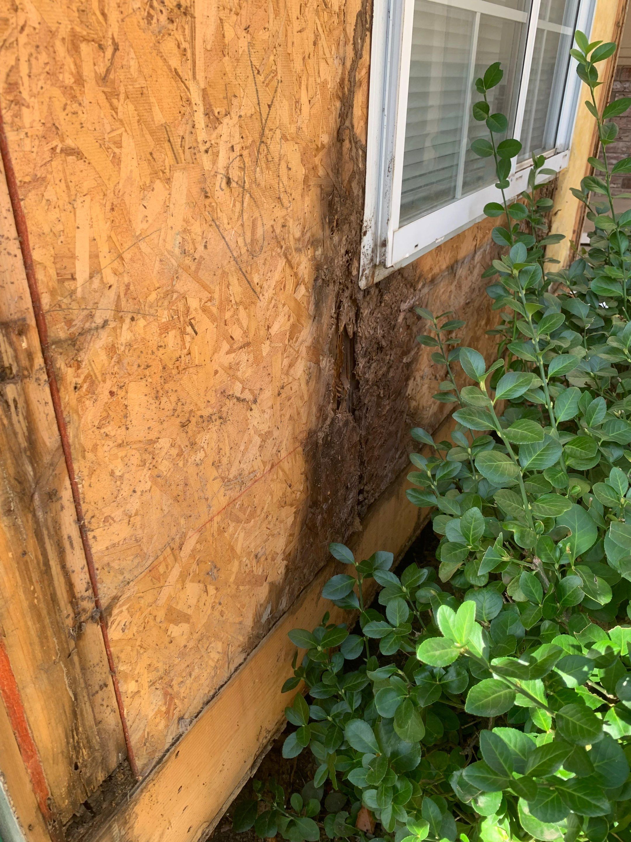 Before & After by TRUST ROOFING & REMODELING LLC