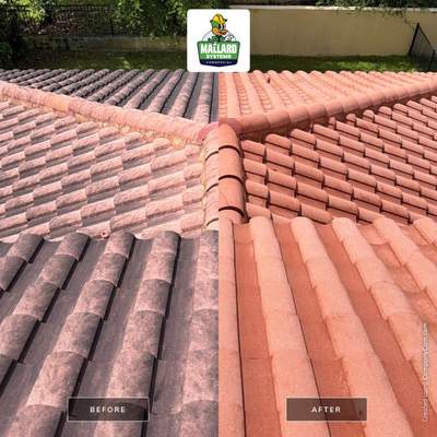 Tile Roof Cleaning in Dr. Phillips