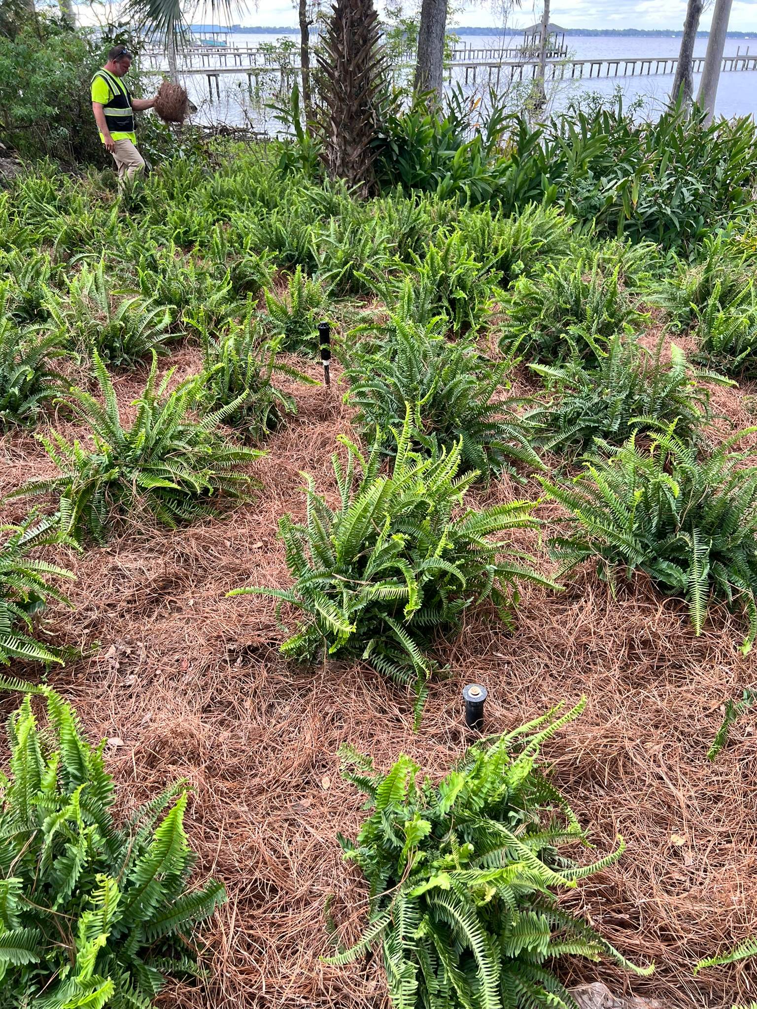 Landscape Install | Residence by ProGreen Services