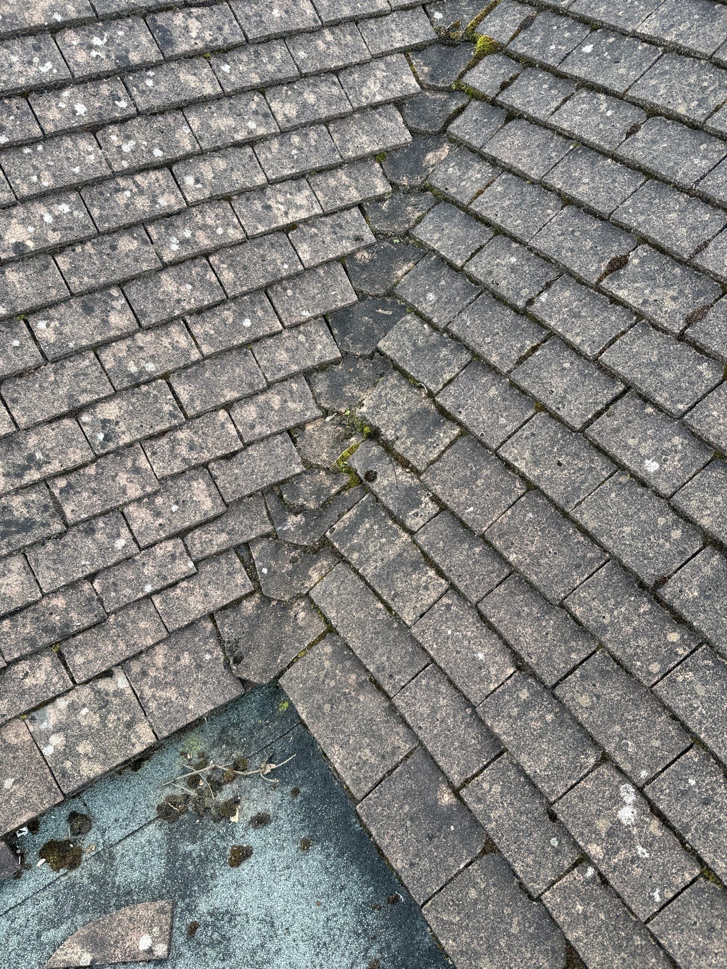 Exterior Clean - Roof - Patio - Driveway using honda 21 ltr/min by Ges Exterior Cleaning ltd
