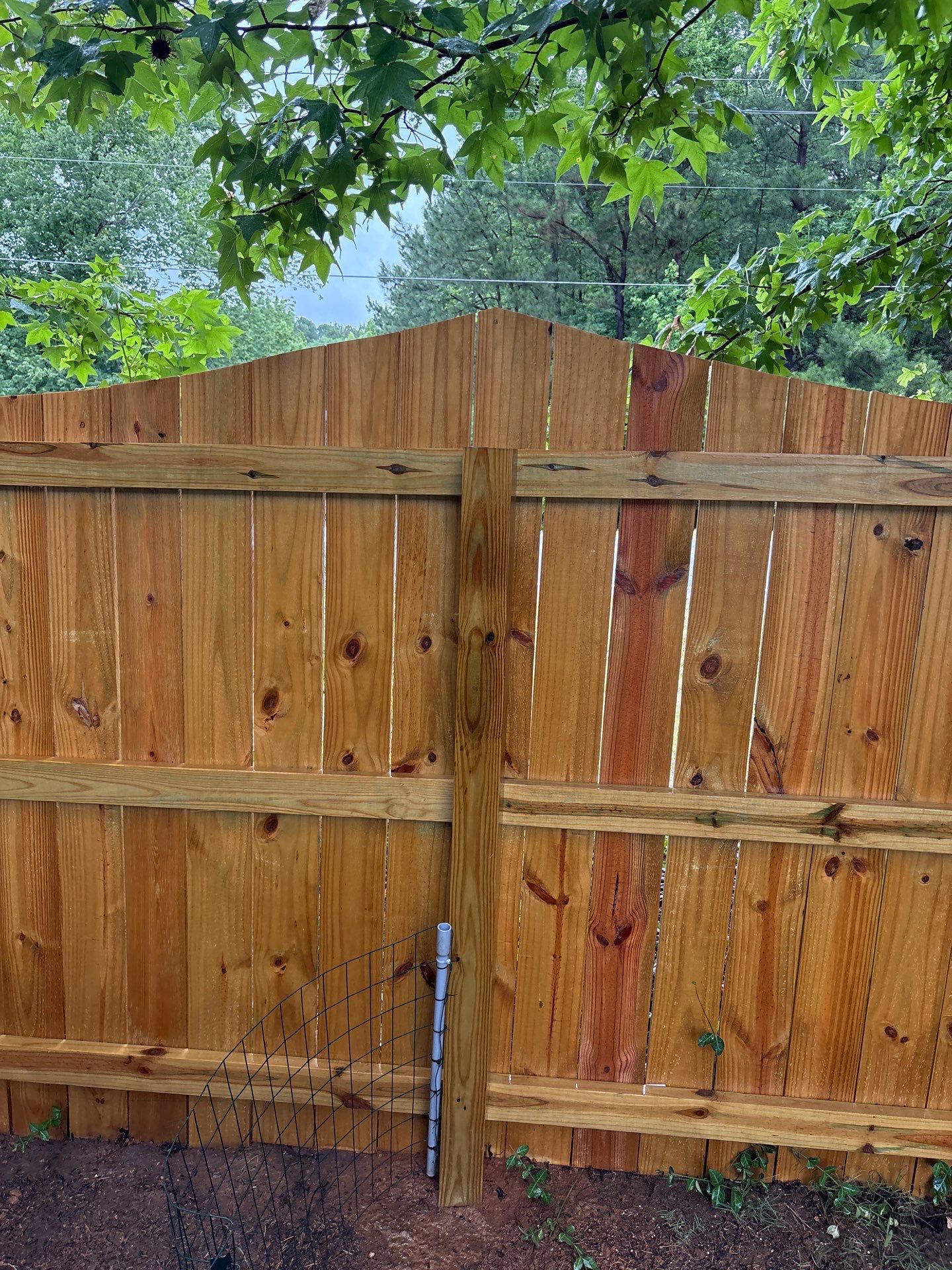 Fence using Wood Sealant by DuraSeal