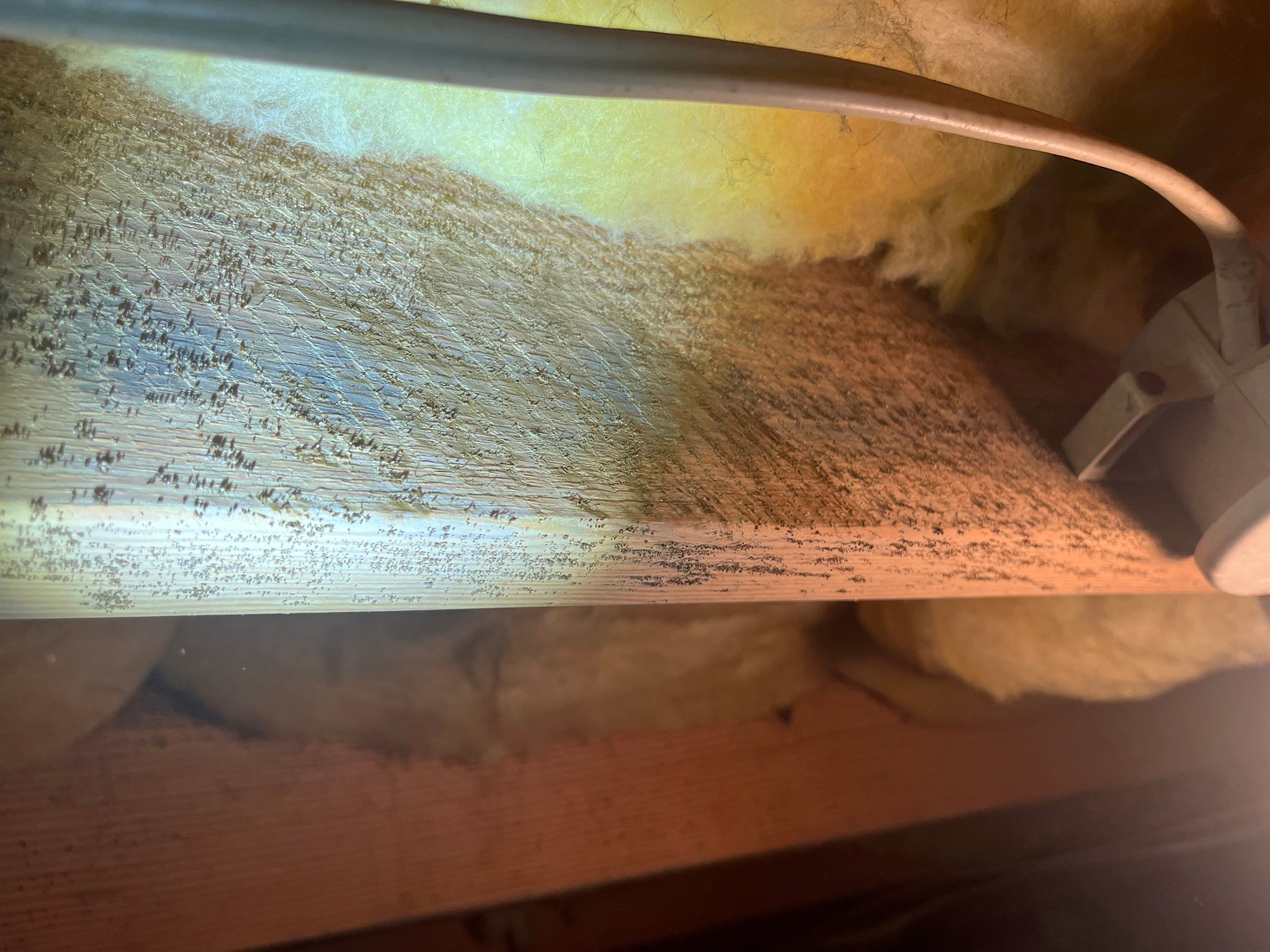 Dehumidifier and Moisture Barrier install with Structural repairs. by Impact Crawlspace