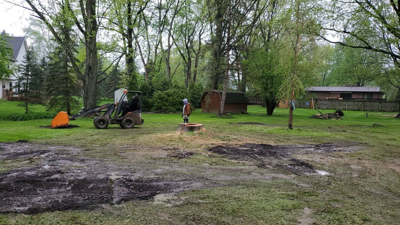 Tree Removal using Tree Removal by Mike Jones & Sons Tree Service LLC 